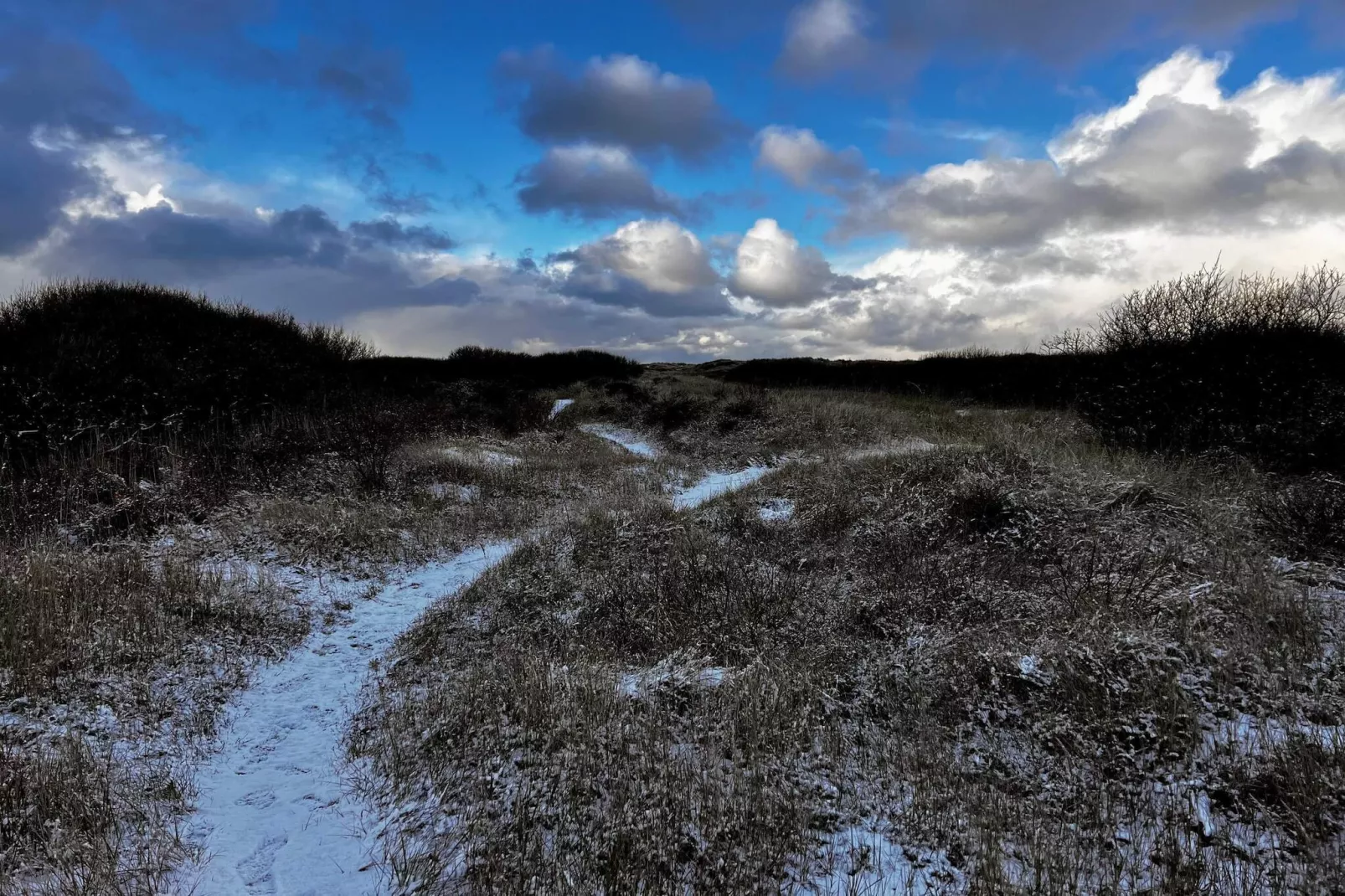 4 persoons vakantie huis in Skagen-By Traum-Niet-getagd