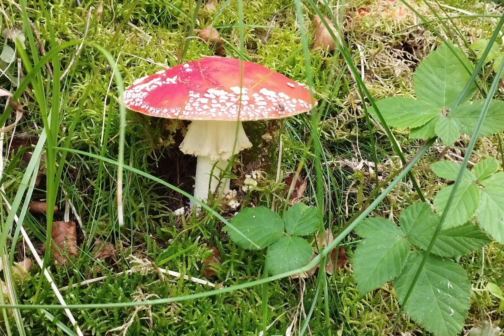 Zeezijde oase met tuin-By Traum-Niet-getagd