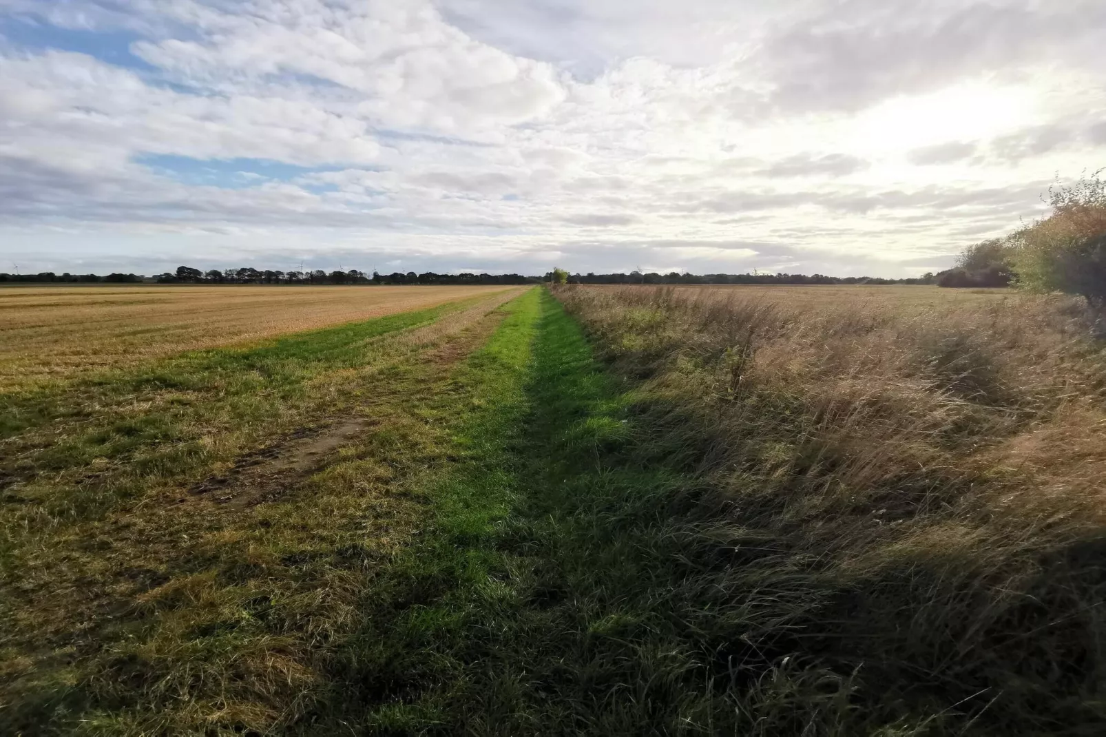 7 persoons vakantie huis in Rødby-By Traum-Niet-getagd