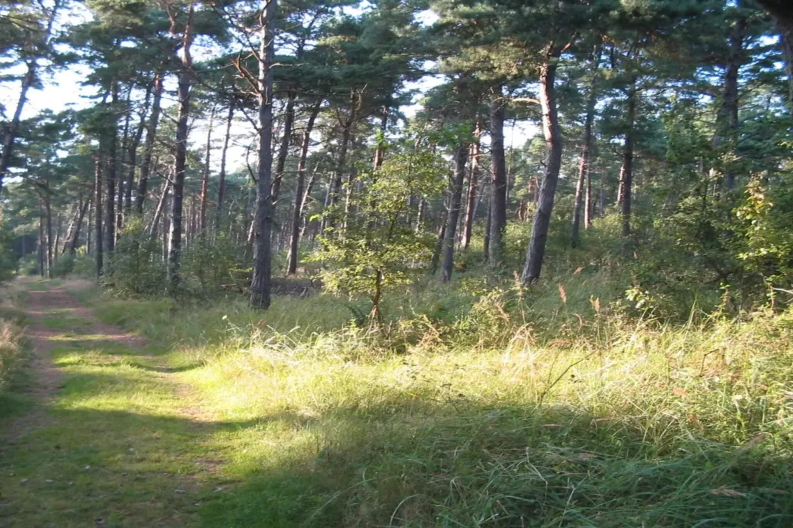 6 persoons vakantie huis in Væggerløse-By Traum-Niet-getagd