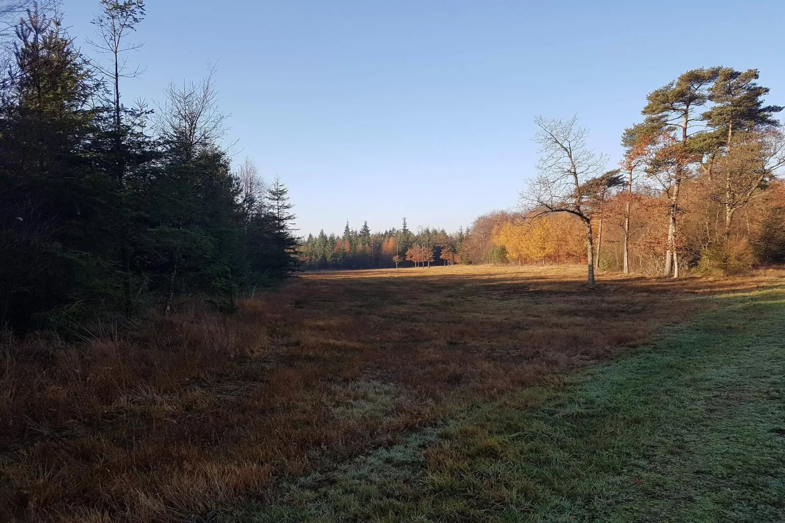 8 persoons vakantie huis in Toftlund-By Traum-Niet-getagd