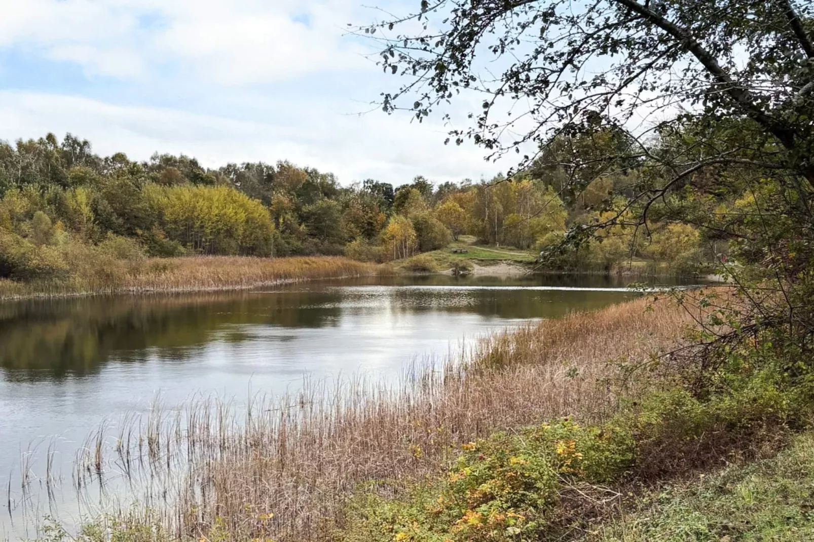 6 Personen vakantie huis in Borup-Niet-getagd