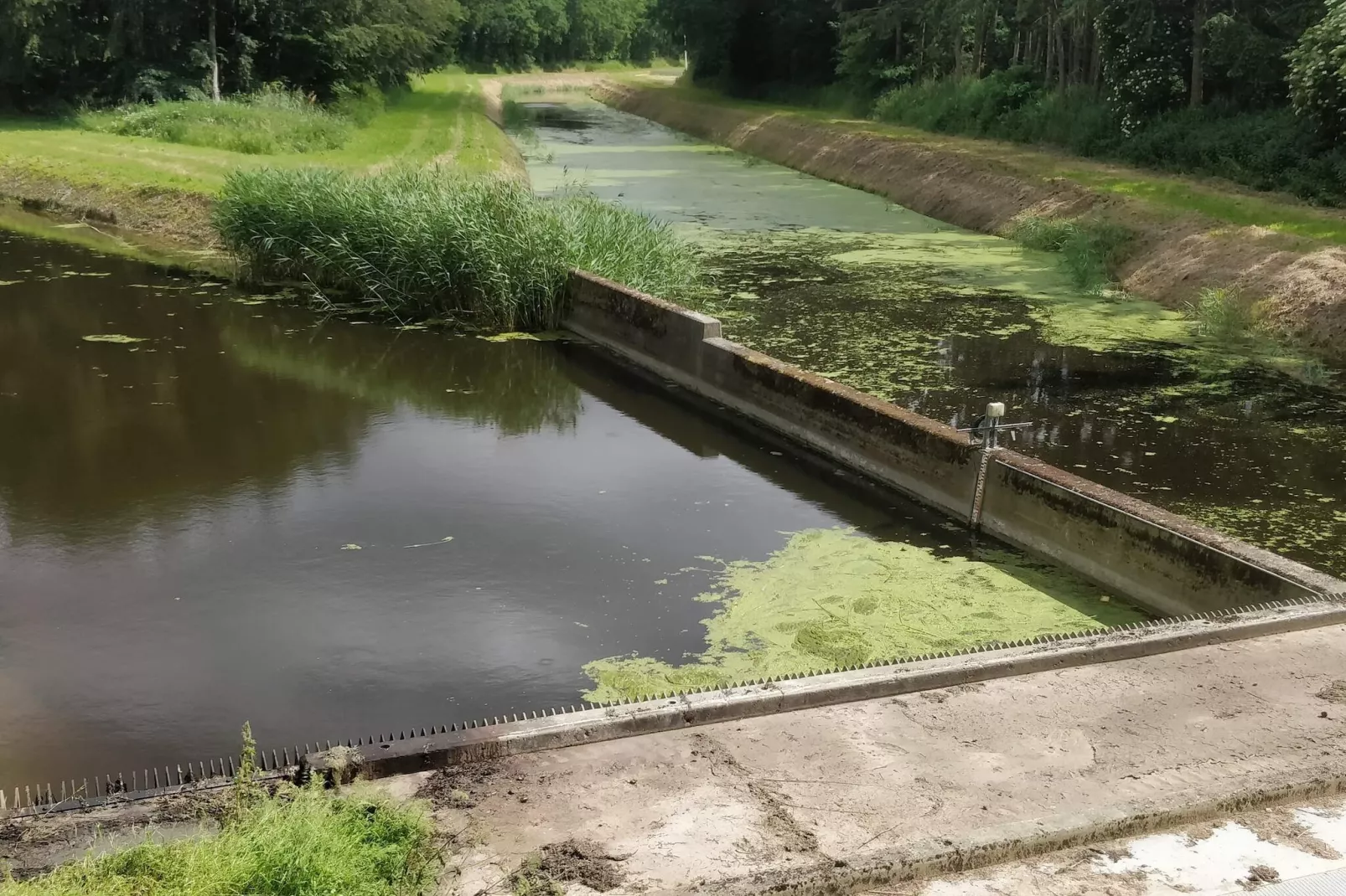 Strandplezier in Marielyst-By Traum-Niet-getagd