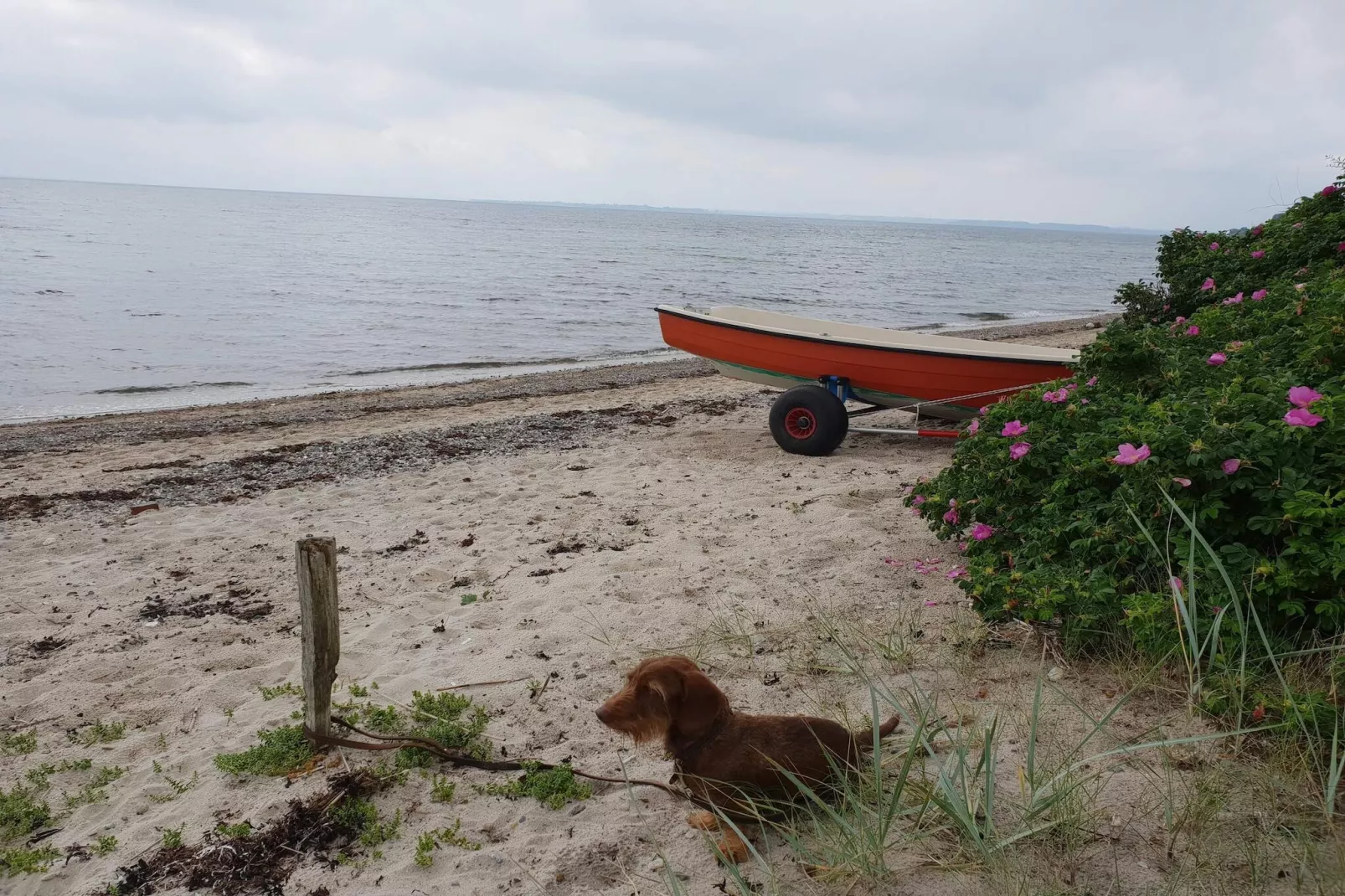 Afgelegen paradijs in Kelstrup -- By Traum Ferienwohnungen-Waterzicht