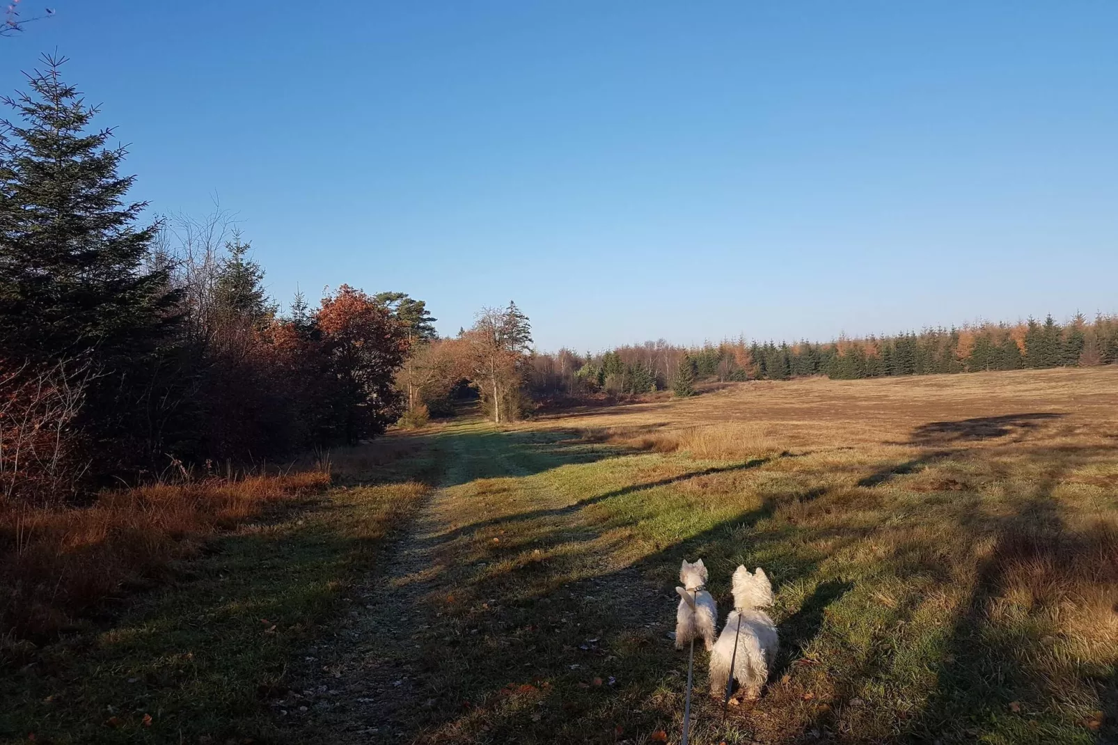 8 persoons vakantie huis in Toftlund-By Traum-Niet-getagd