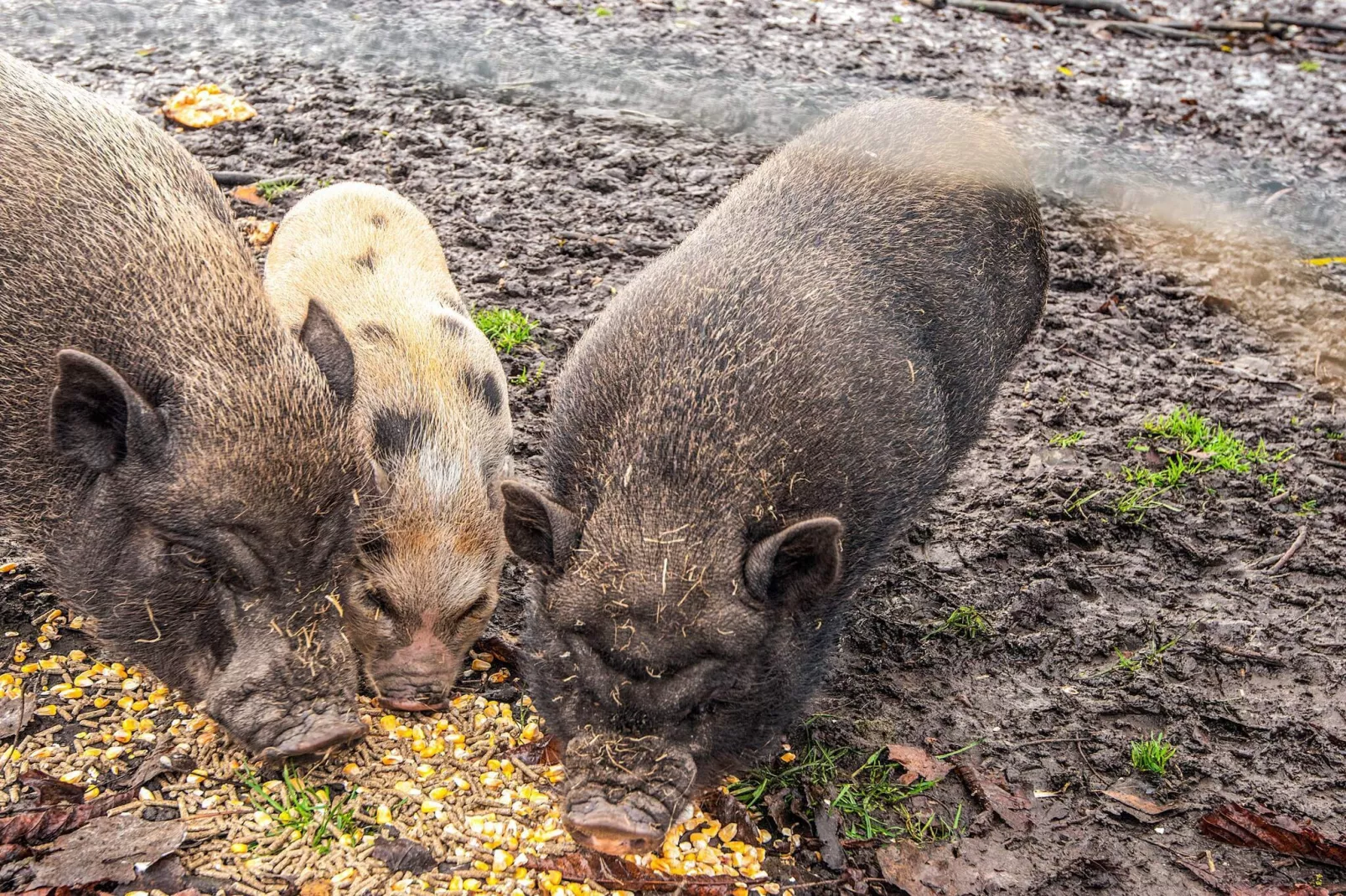 4 Personen vakantie huis in Højer-Niet-getagd