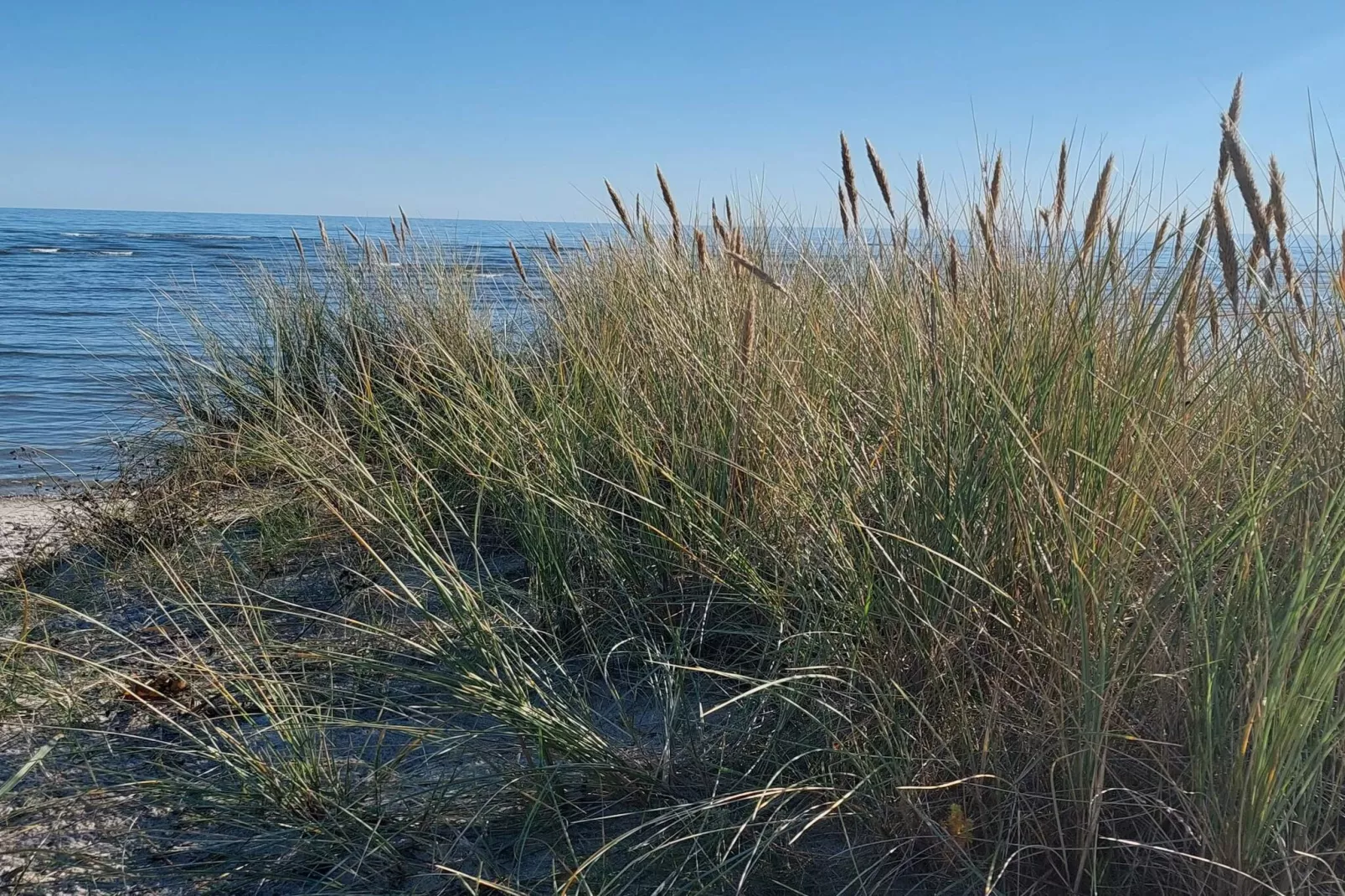 8 persoons vakantie huis in Hals-By Traum-Waterzicht