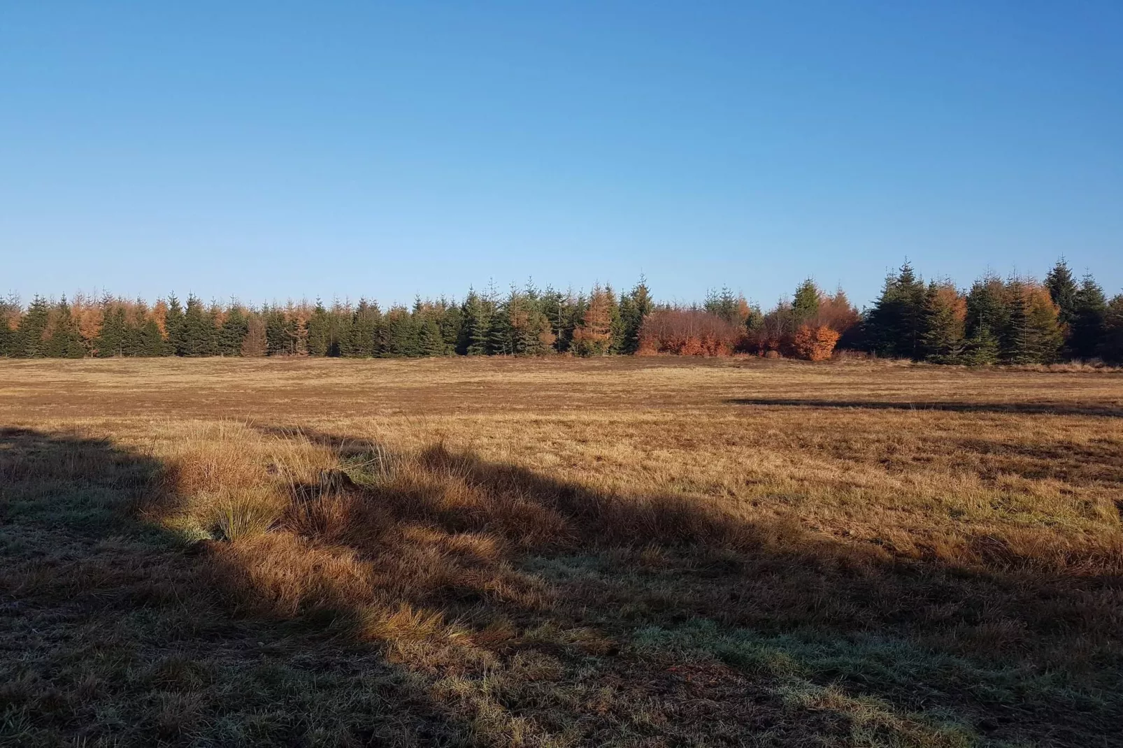 8 persoons vakantie huis in Toftlund-By Traum-Niet-getagd