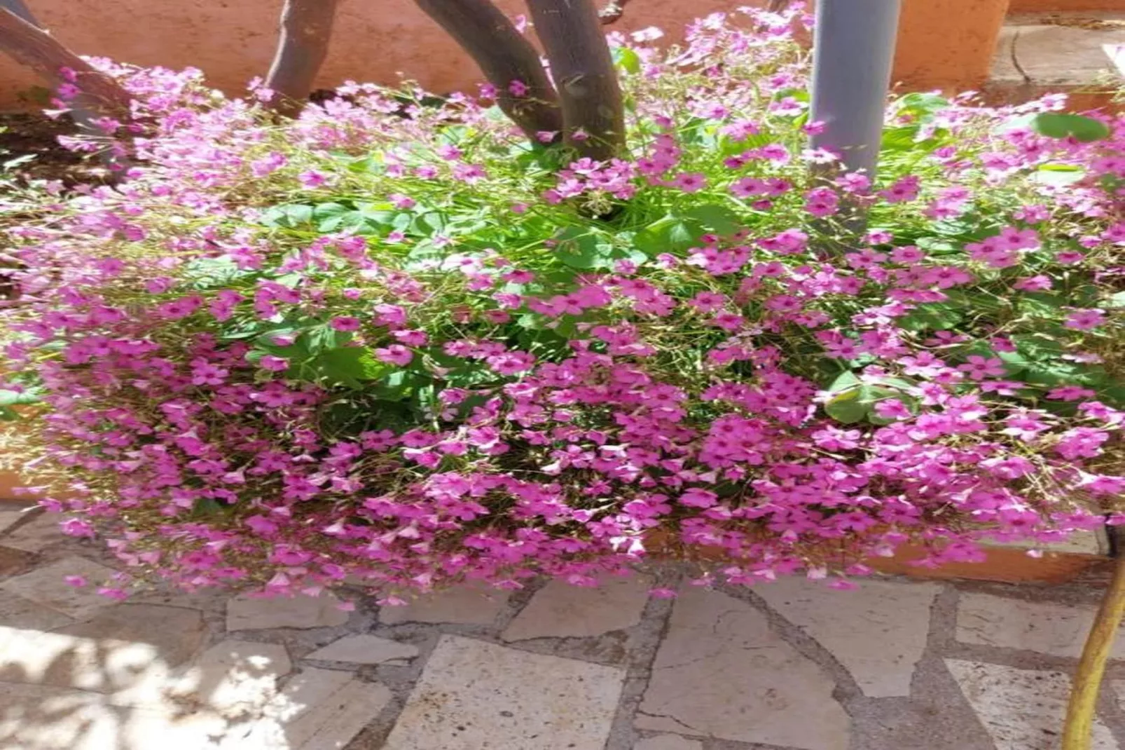 Apartments Lucija - A4-Sfeer