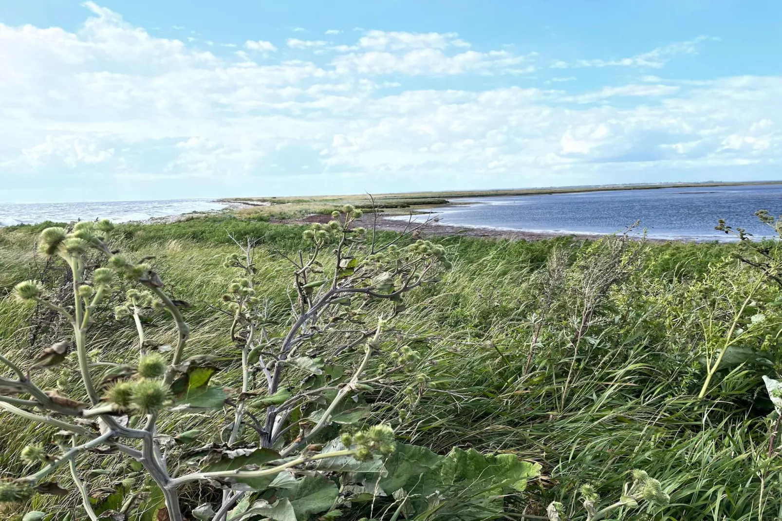 Helder strandhuis -- By Traum Ferienwohnungen-Waterzicht