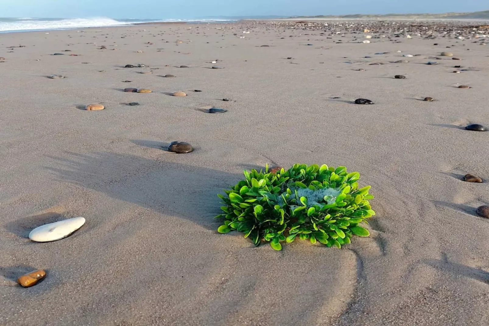 Gezellig strandhuis met spa -- By Traum Ferienwohnungen-Waterzicht