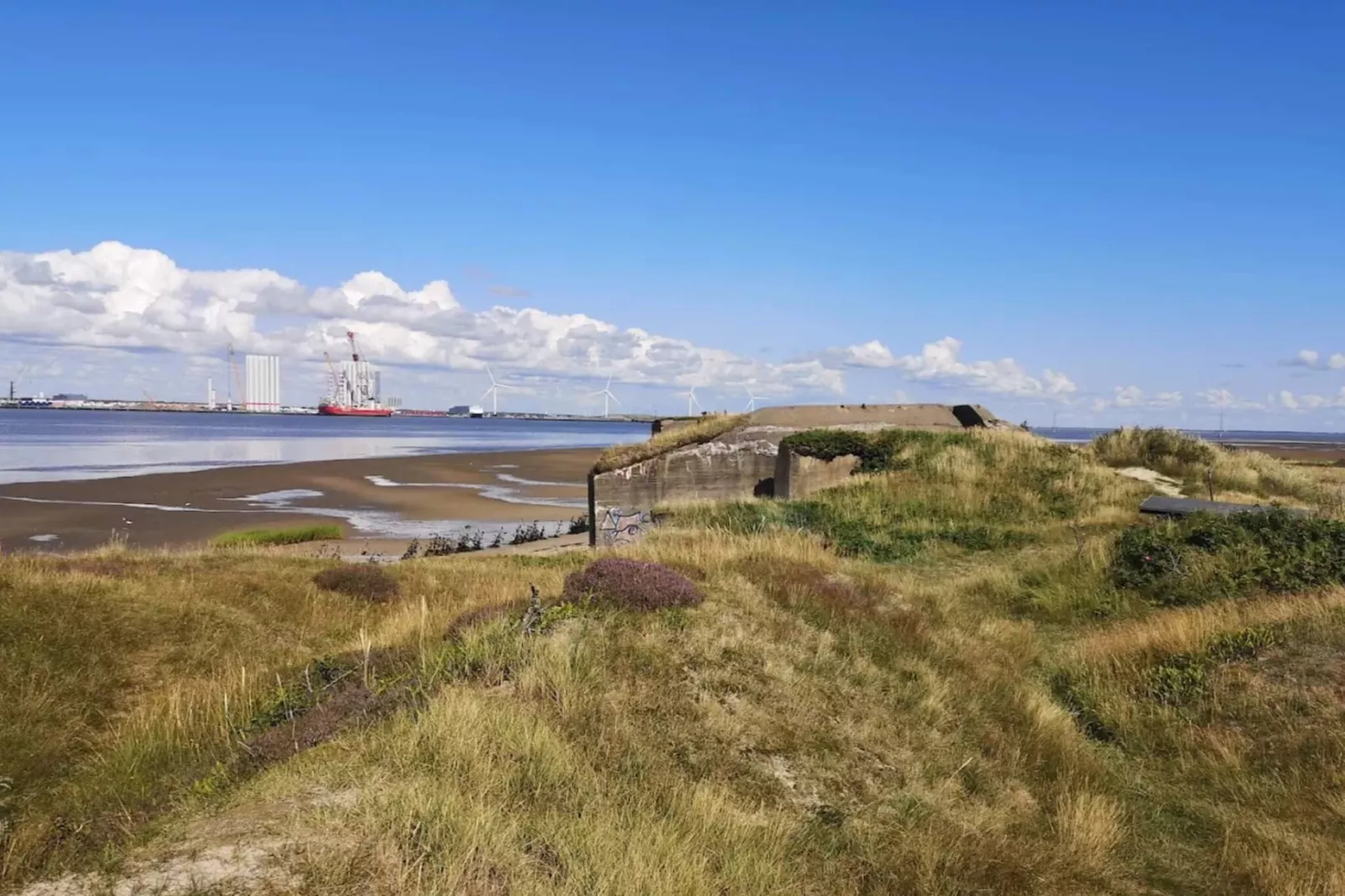 4 persoons vakantie huis in Fanø-Waterzicht