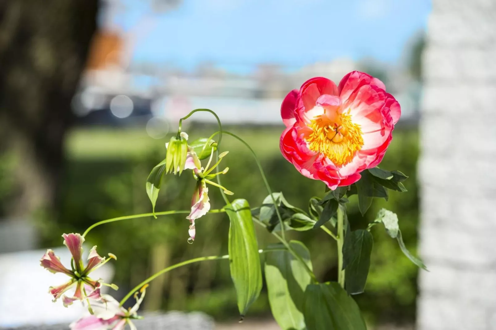 Bungalowpark Rien van den Broeke Village 1-Sfeer