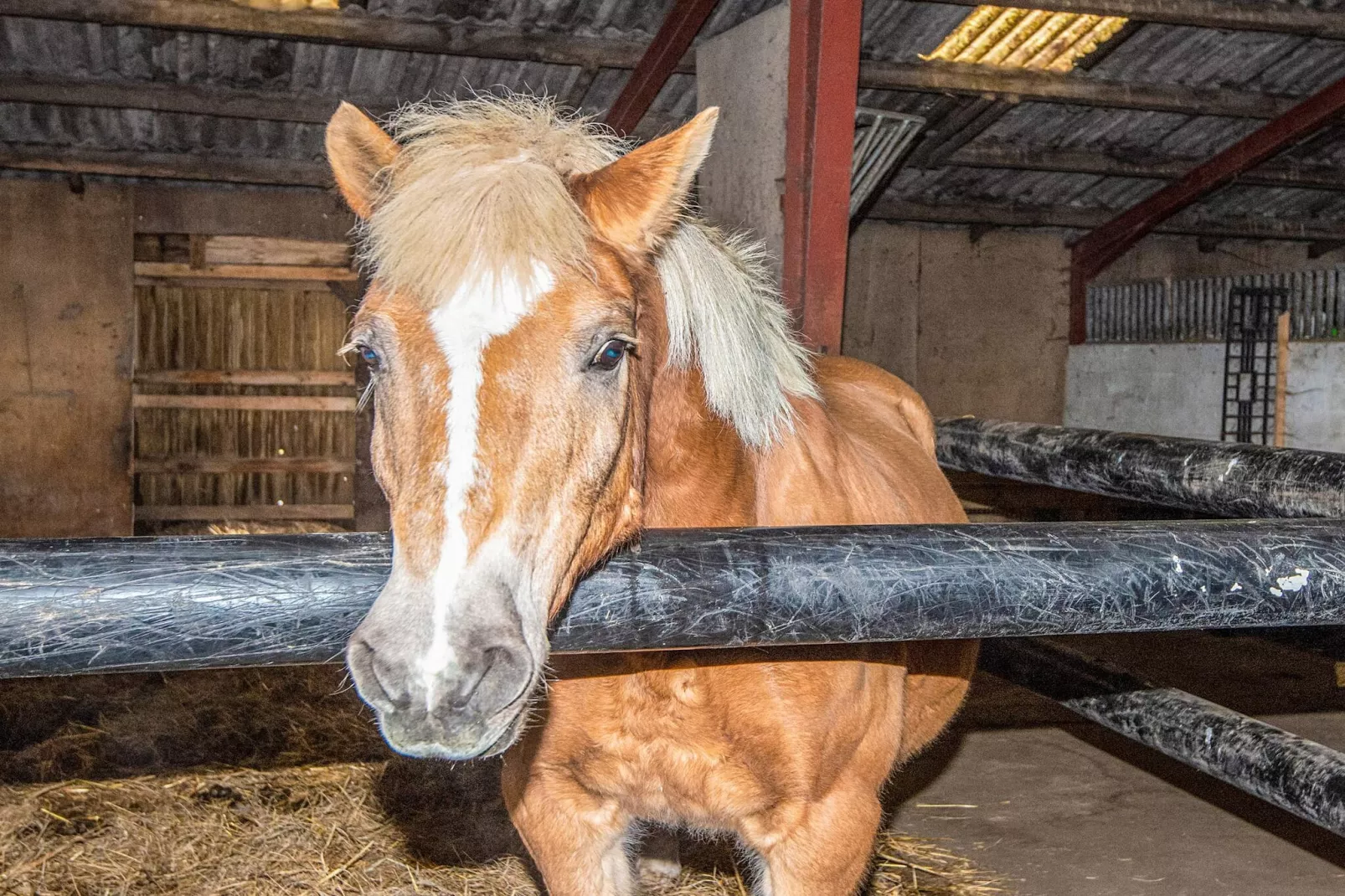 4 Personen vakantie huis in Højer-Niet-getagd