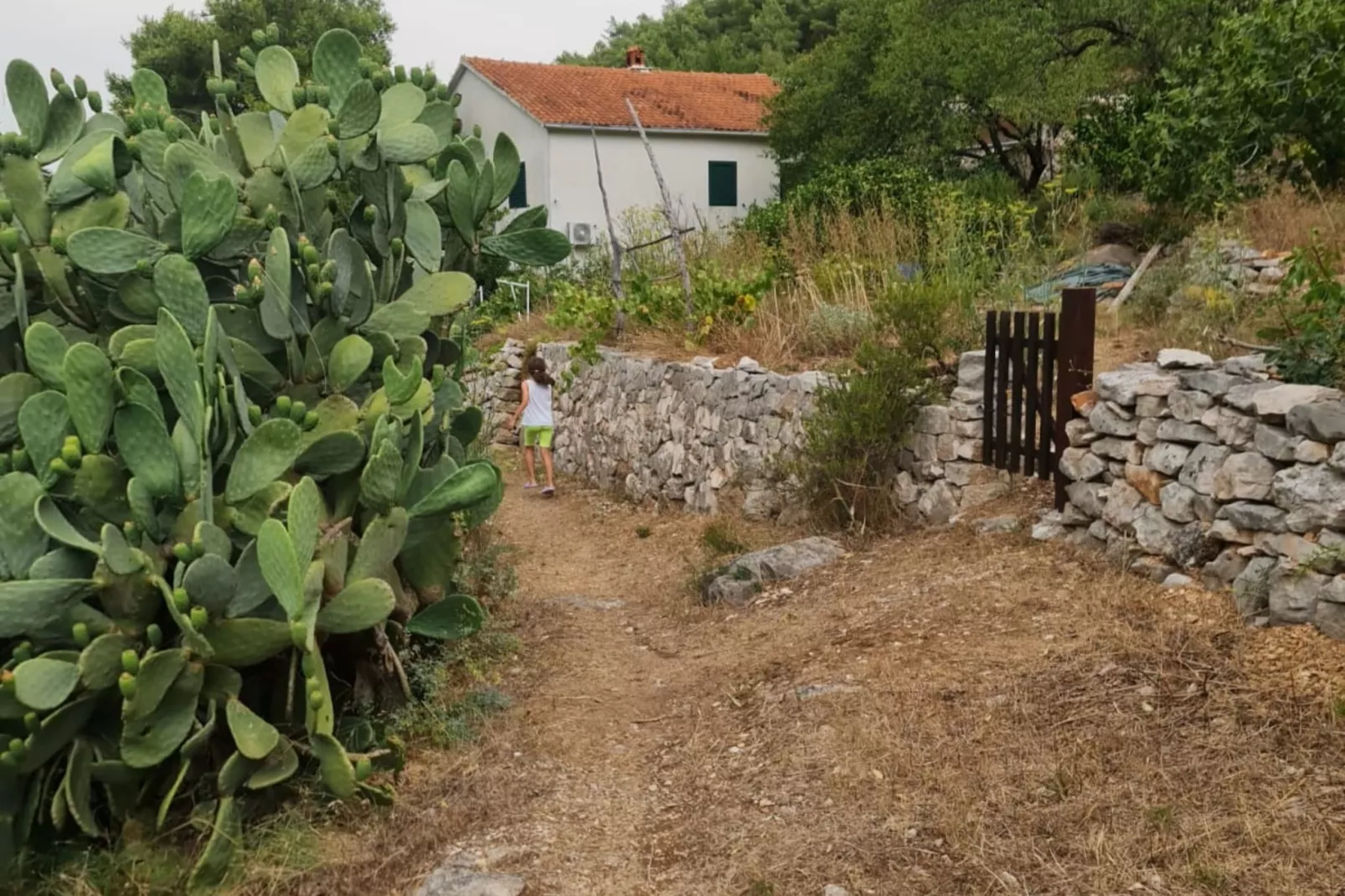 Apartments Stiniva Hvar - Studio Apartment With Terrace (A2)-Buitenlucht