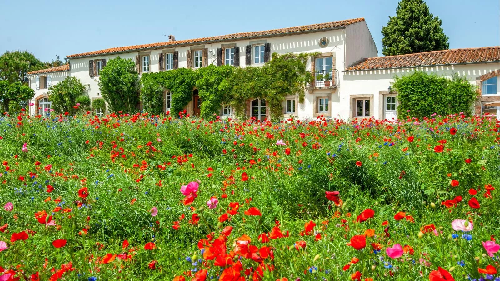 Manoir de Montréal - West Wing-Buitenkant zomer