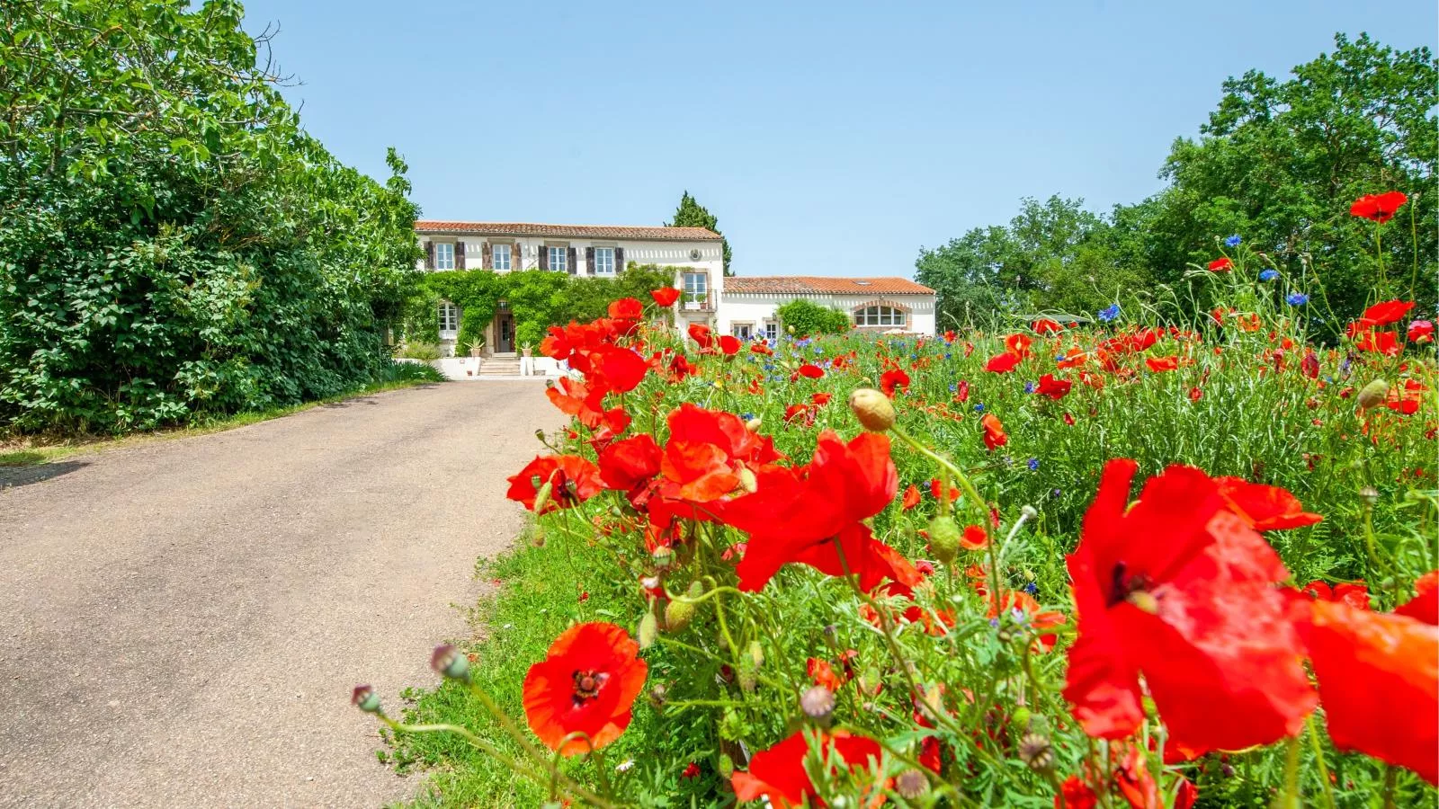 Manoir de Montréal - West Wing-Buitenkant zomer