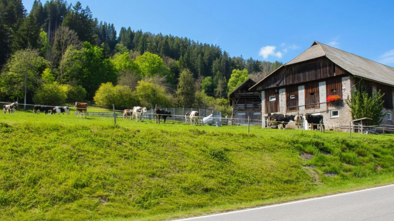Obermöschach 5A-Gebieden zomer 5km