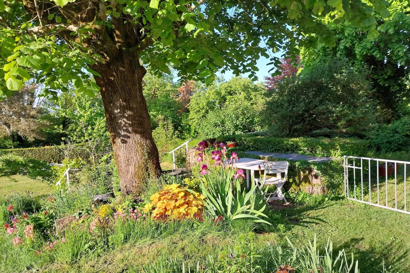 Petite Plaisance-Image-tags.