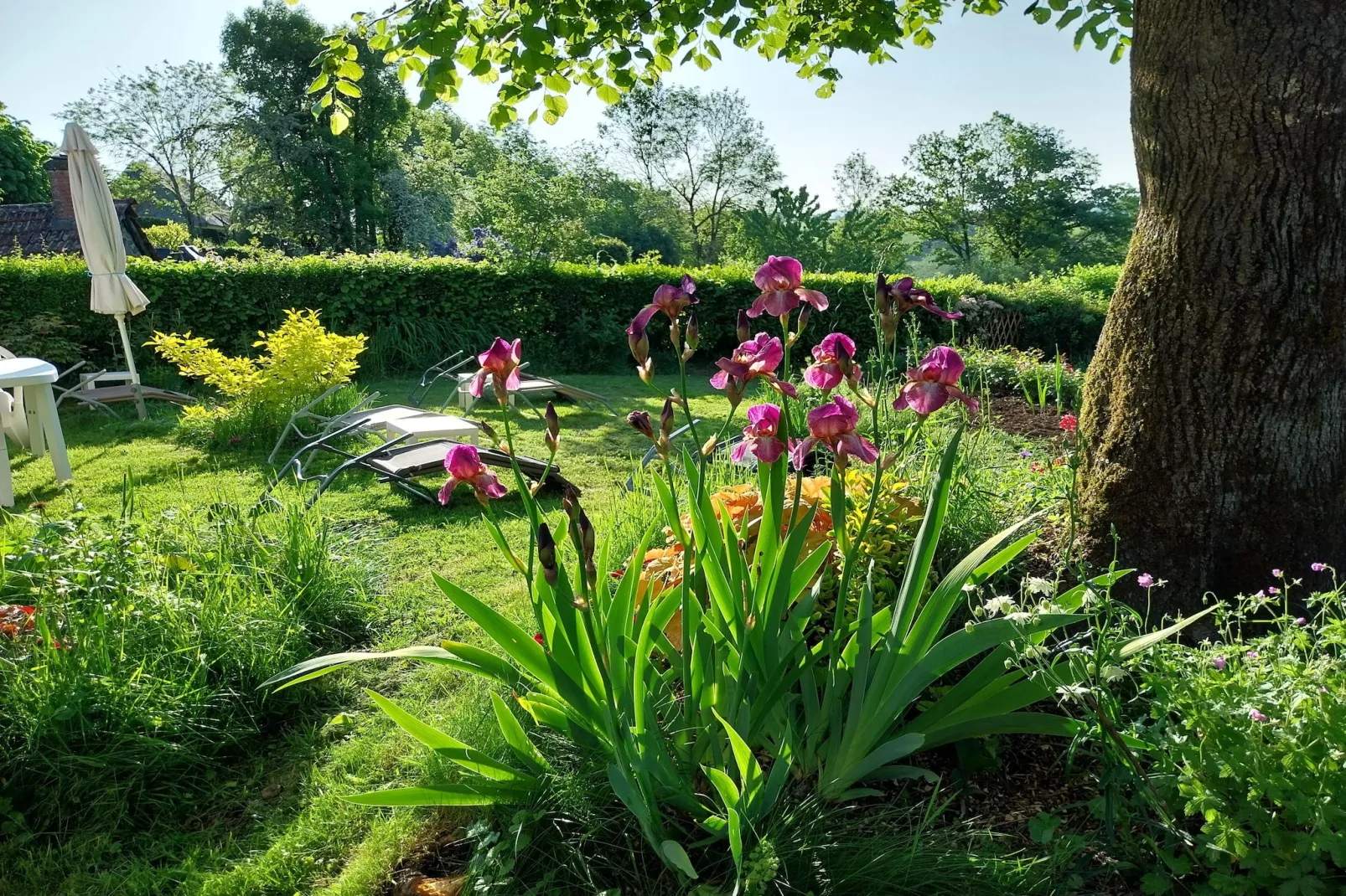 Petite Plaisance-Image-tags.