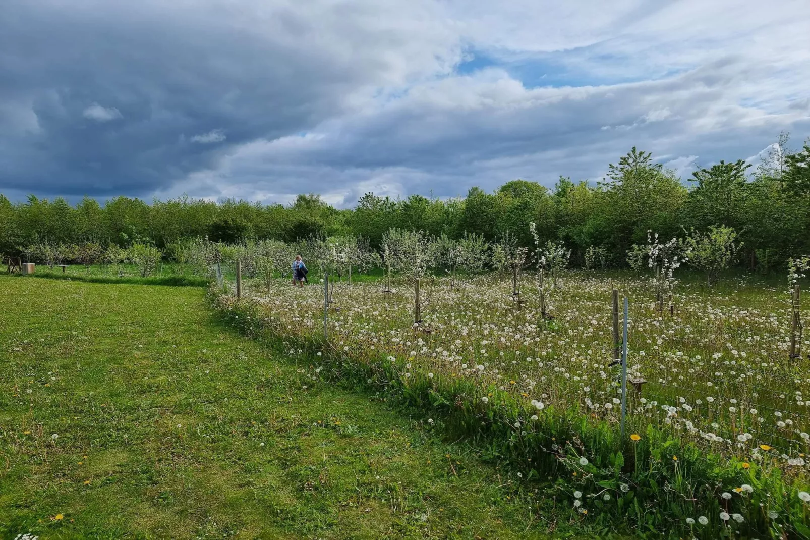 Kustcharme in Aabenraa -- By Traum Ferienwohnungen-Niet-getagd