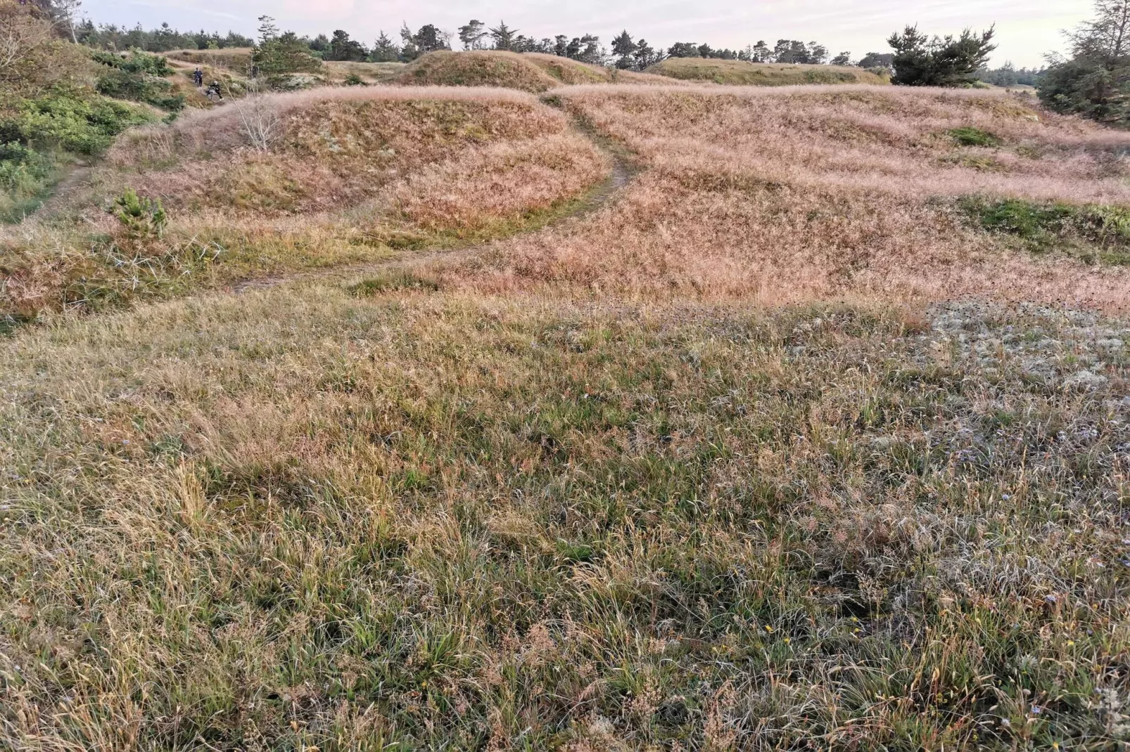 6 persoons vakantie huis in Frederikshavn-By Traum