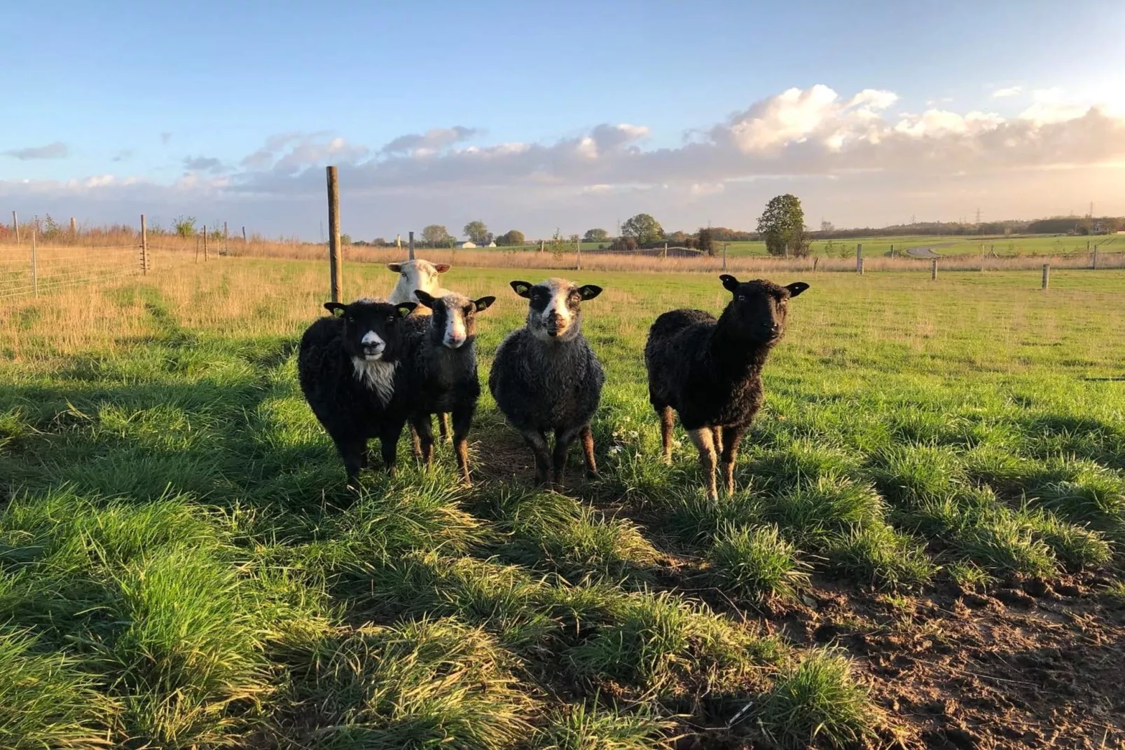 4 persoons vakantie huis in Skibby-By Traum-Niet-getagd