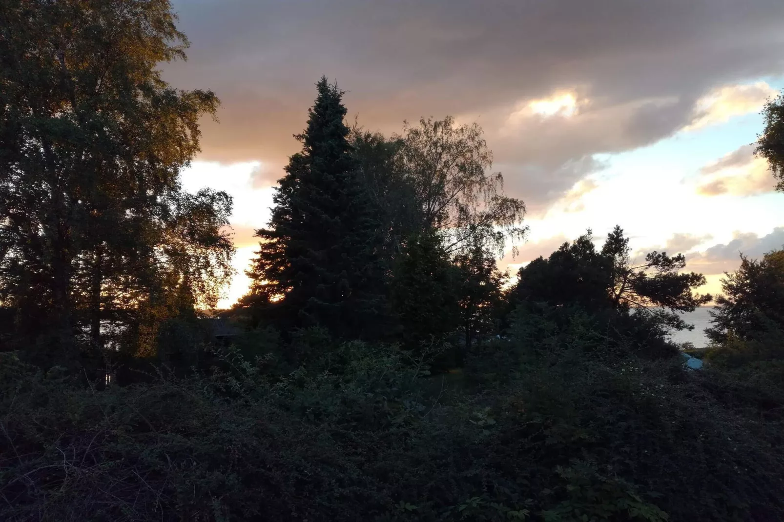 8 persoons vakantie huis in Ølsted-By Traum-Niet-getagd