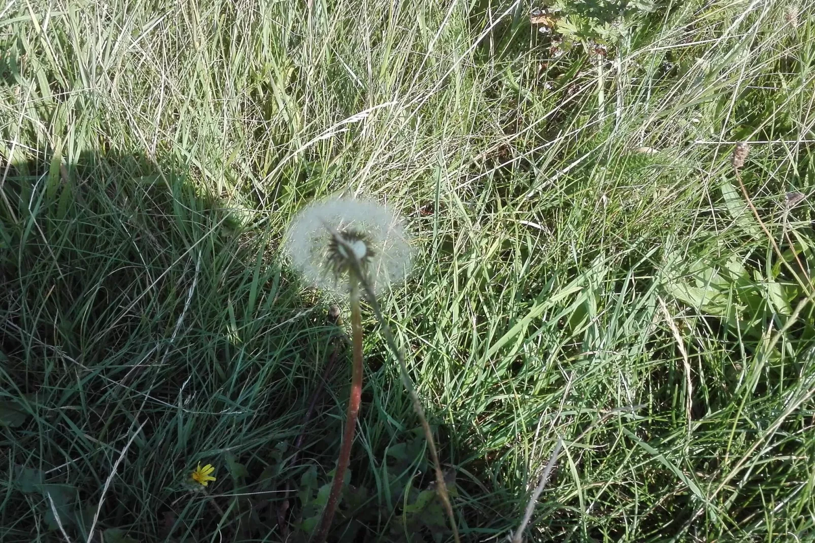 7 persoons vakantie huis in Bredebro-By Traum-Niet-getagd