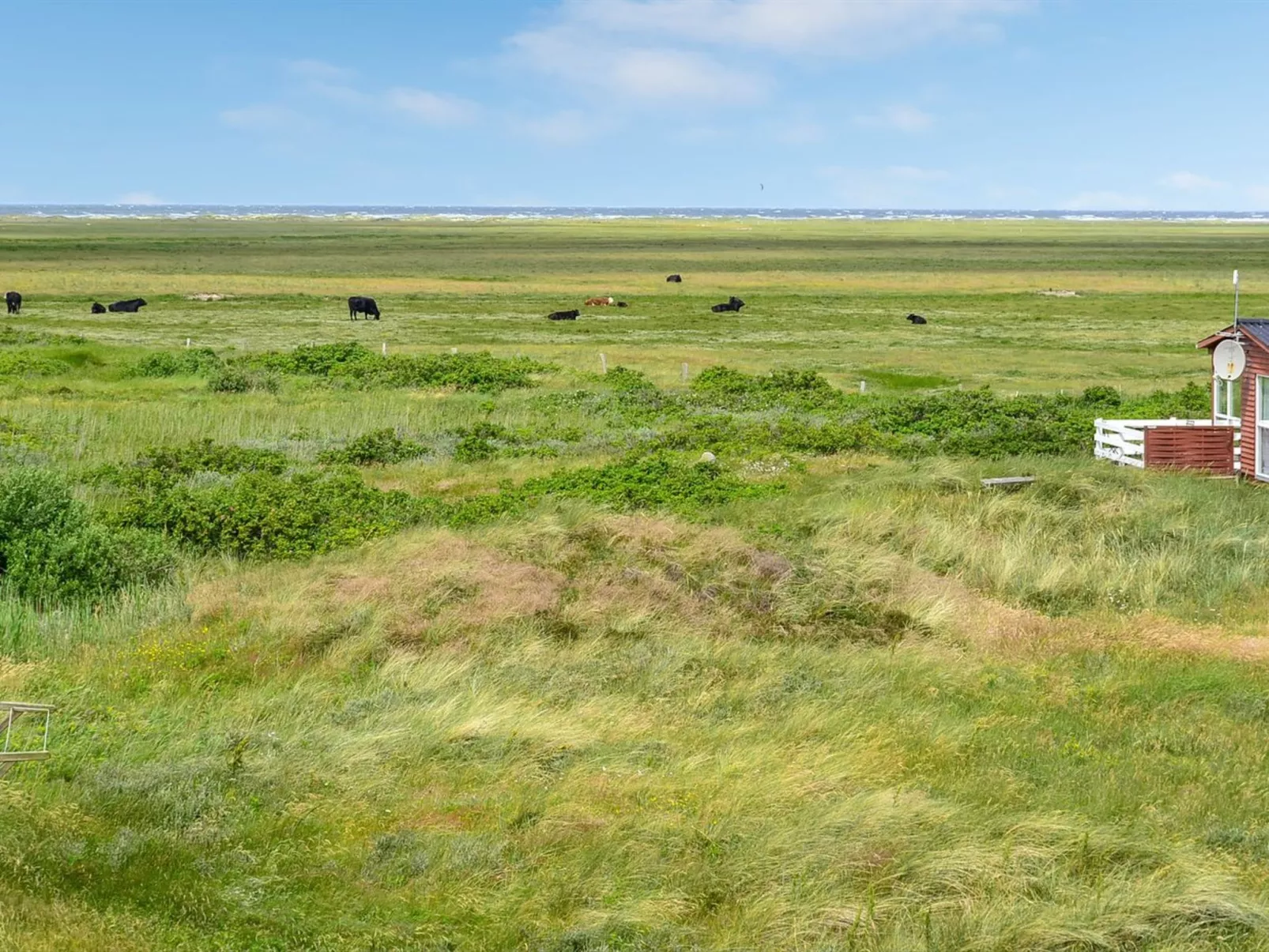 "Mortensen" - 350m from the sea-Buiten