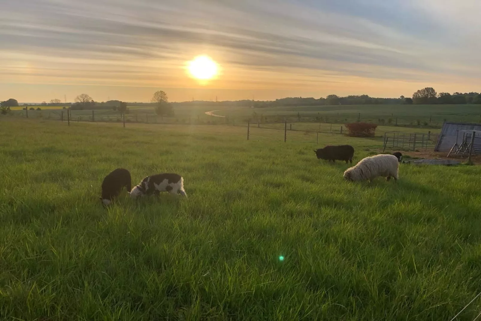 4 persoons vakantie huis in Skibby-By Traum-Niet-getagd