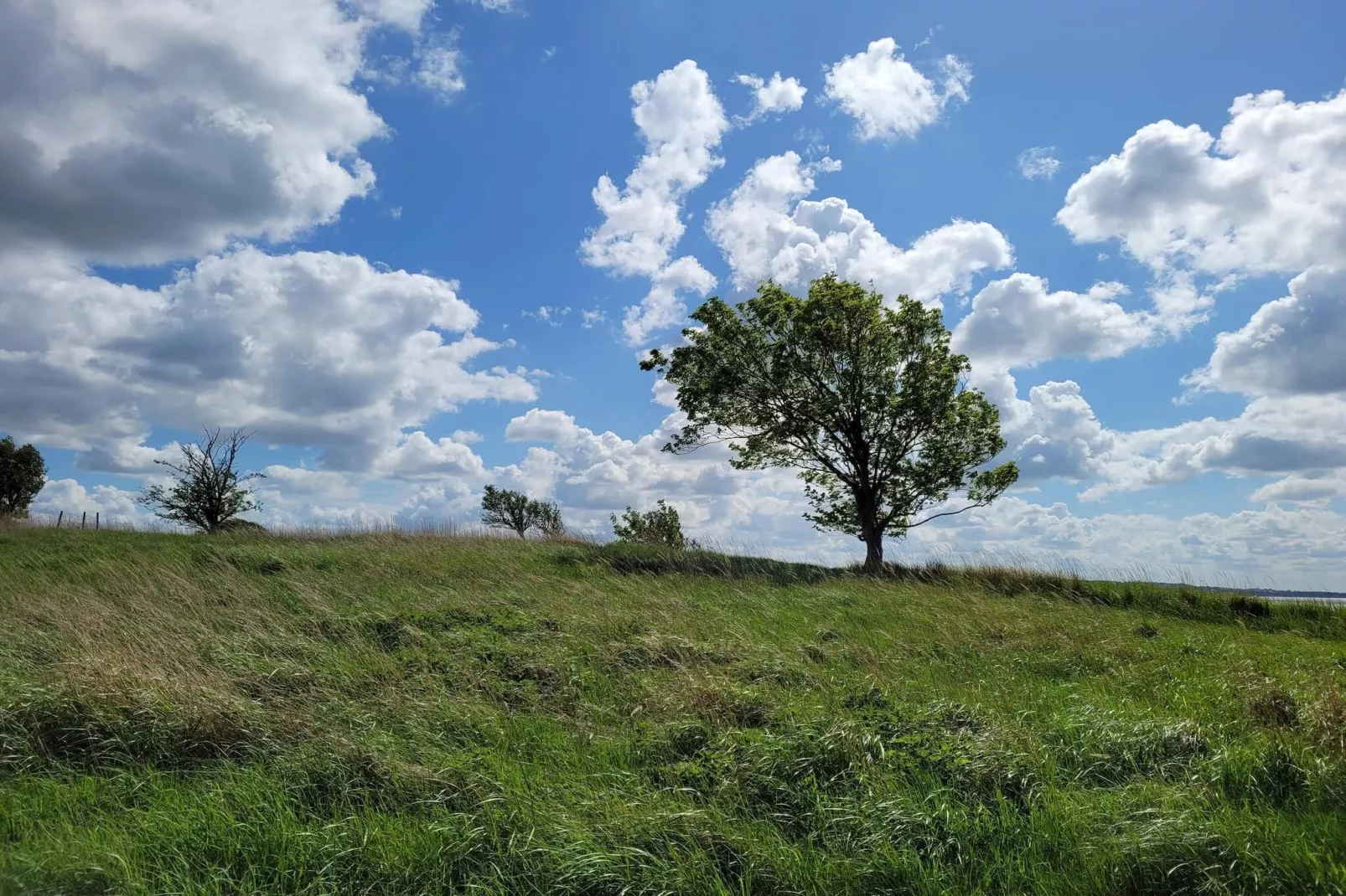 8 persoons vakantie huis in Ølsted-By Traum-Niet-getagd