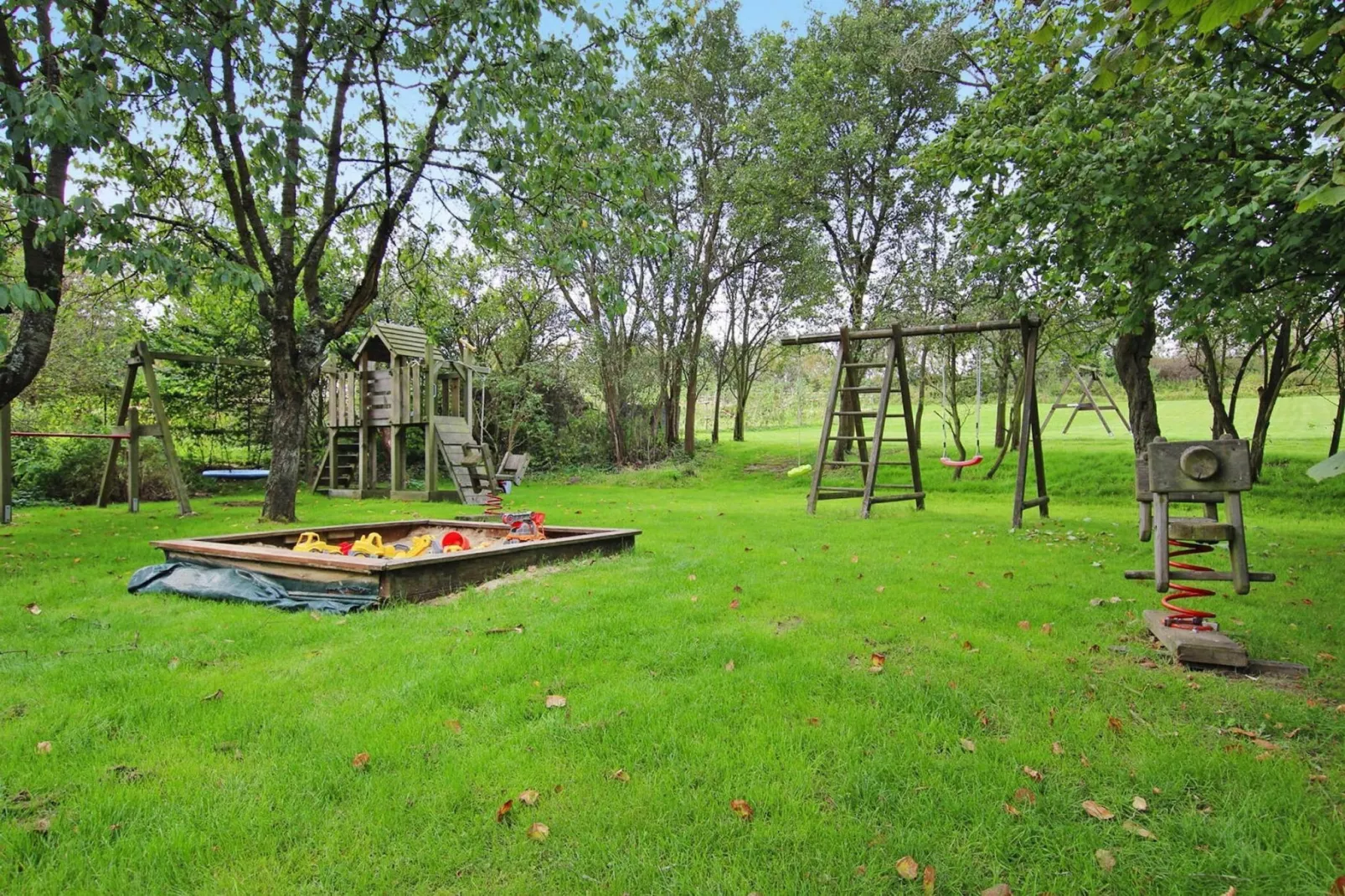 Ferienhaus Gänseblümchen-Tuinen zomer