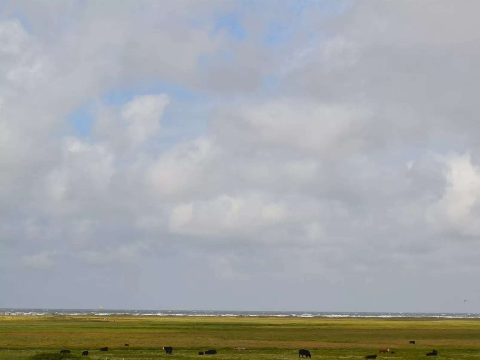 "Mortensen" - 350m from the sea-Buiten