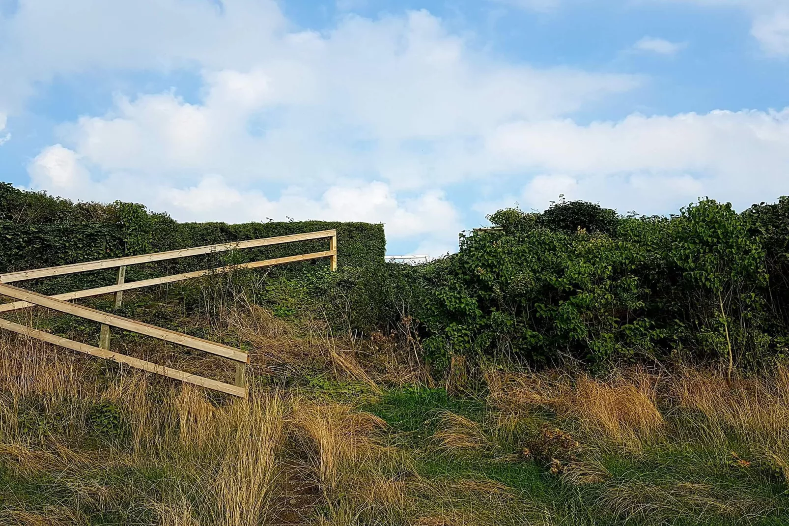 8 persoons vakantie huis in Ølsted-By Traum-Niet-getagd