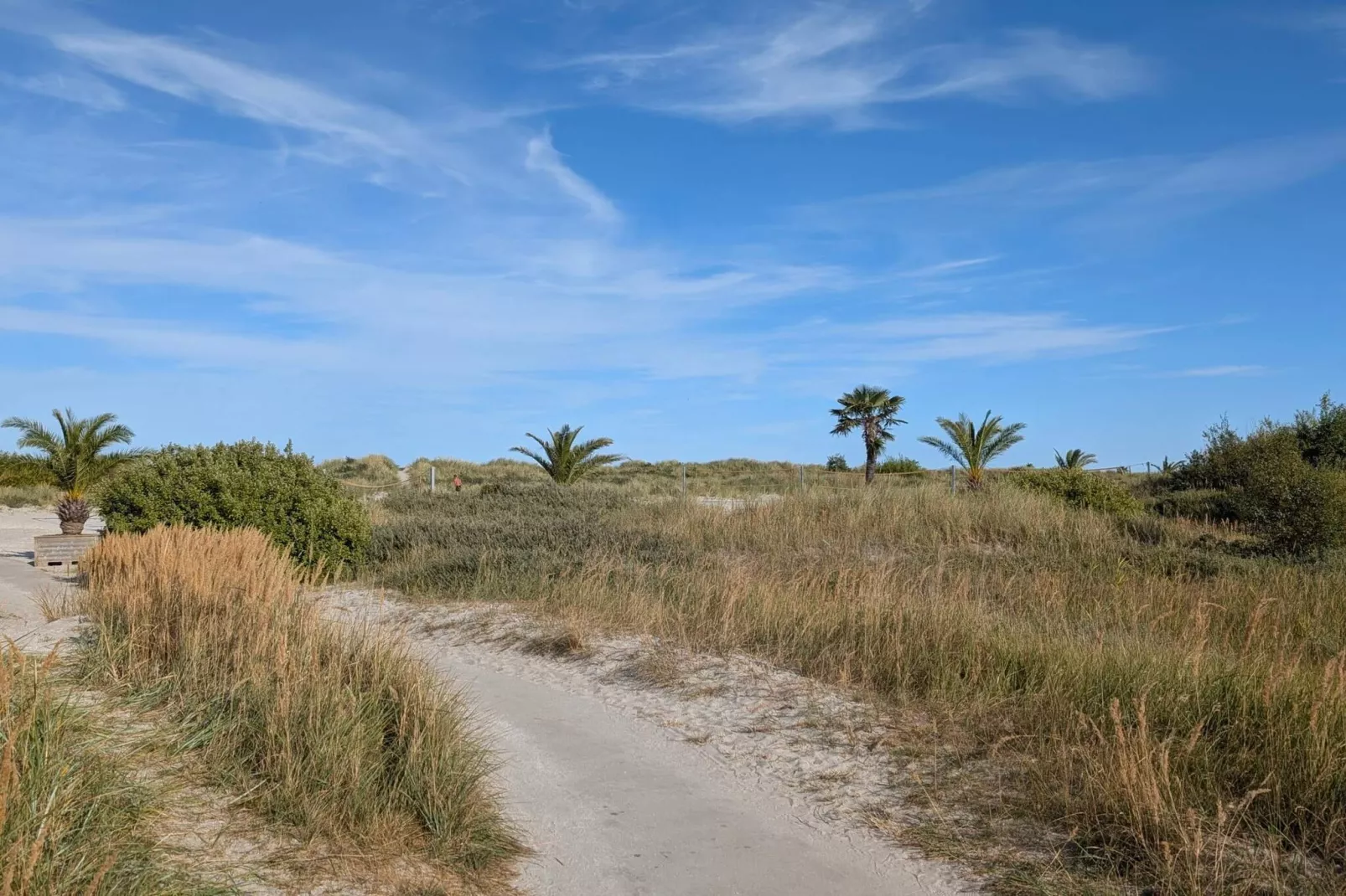 6 persoons vakantie huis in Frederikshavn-By Traum-Niet-getagd