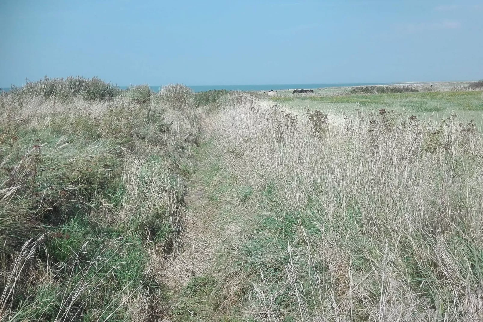 7 persoons vakantie huis in Bredebro-By Traum-Niet-getagd