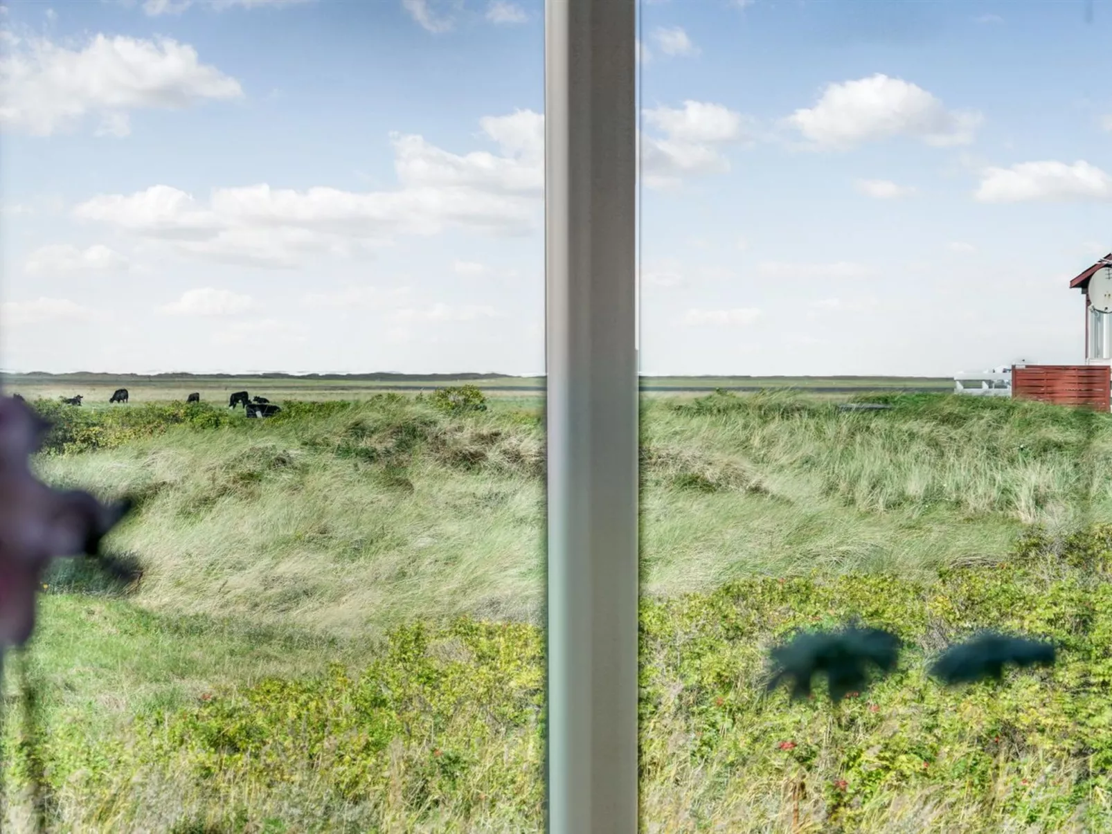 "Mortensen" - 350m from the sea-Buiten