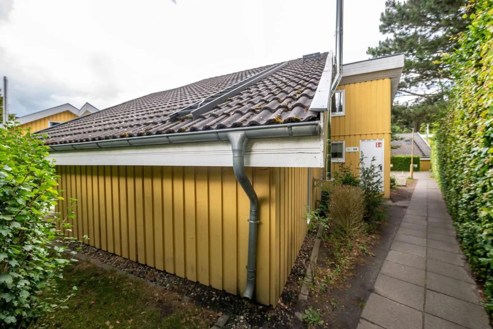 FH Wildgans Comfort Nr56-Buitenkant zomer