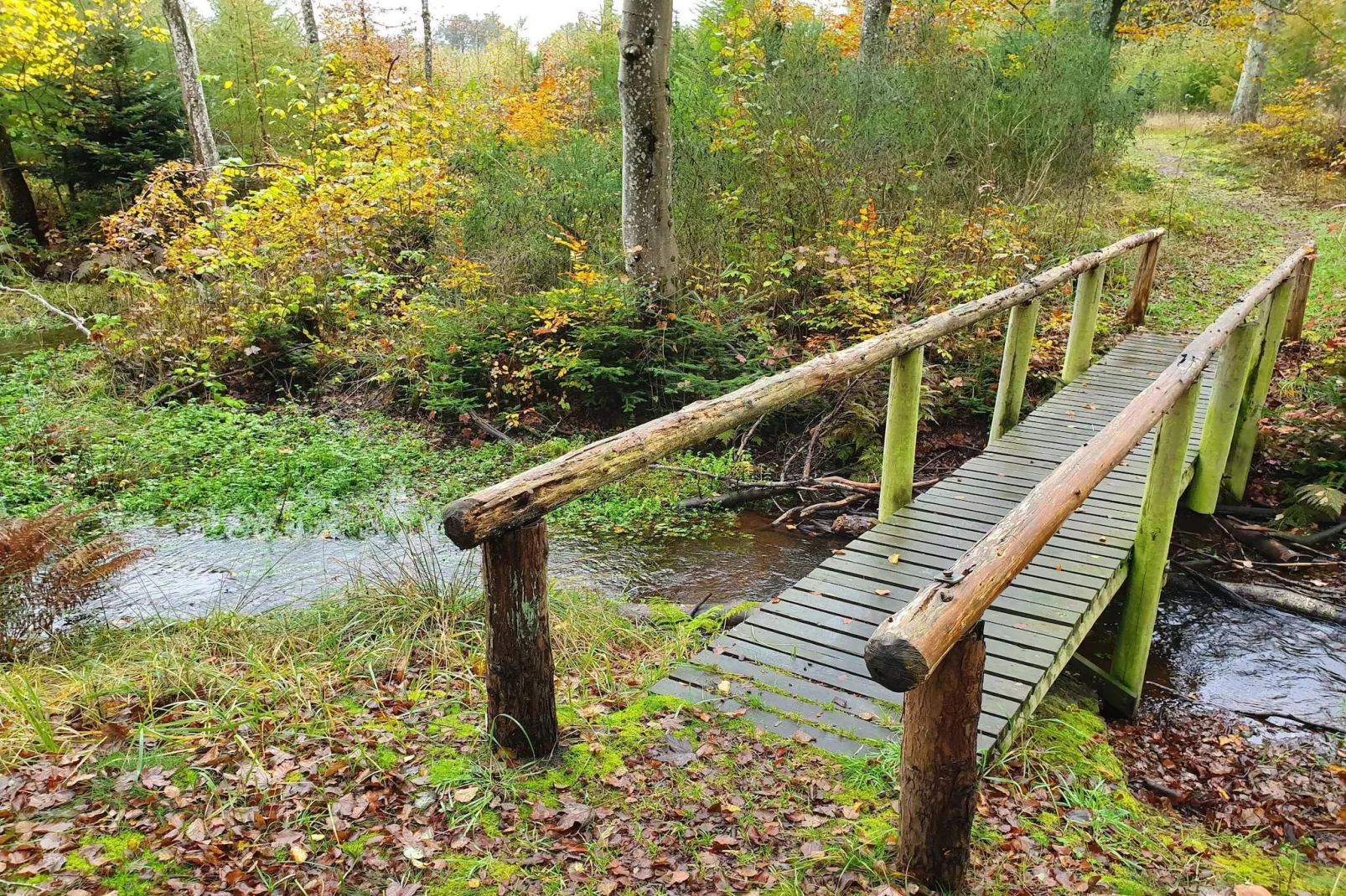 6 persoons vakantie huis in Frederikshavn-By Traum-Waterzicht