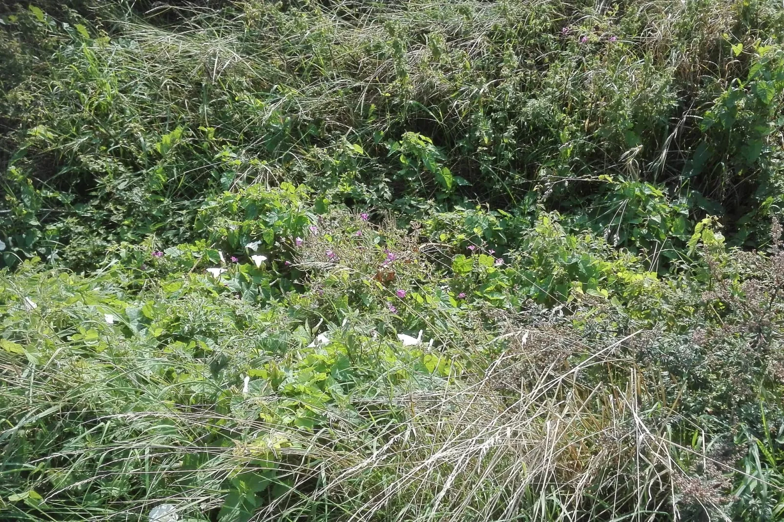 7 persoons vakantie huis in Bredebro-By Traum-Niet-getagd