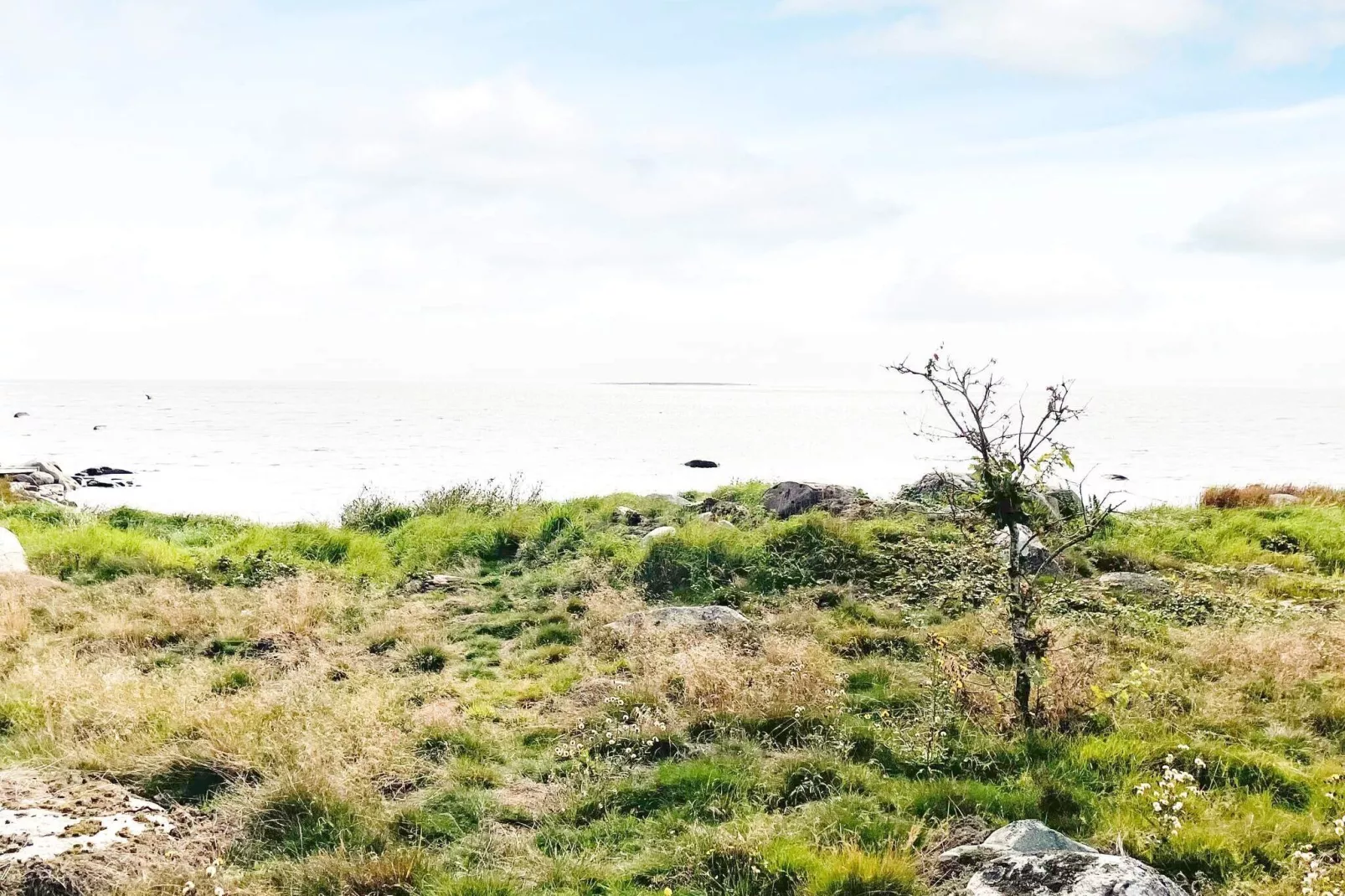 6 persoons vakantie huis in STURKÖ-By Traum-Buitenlucht