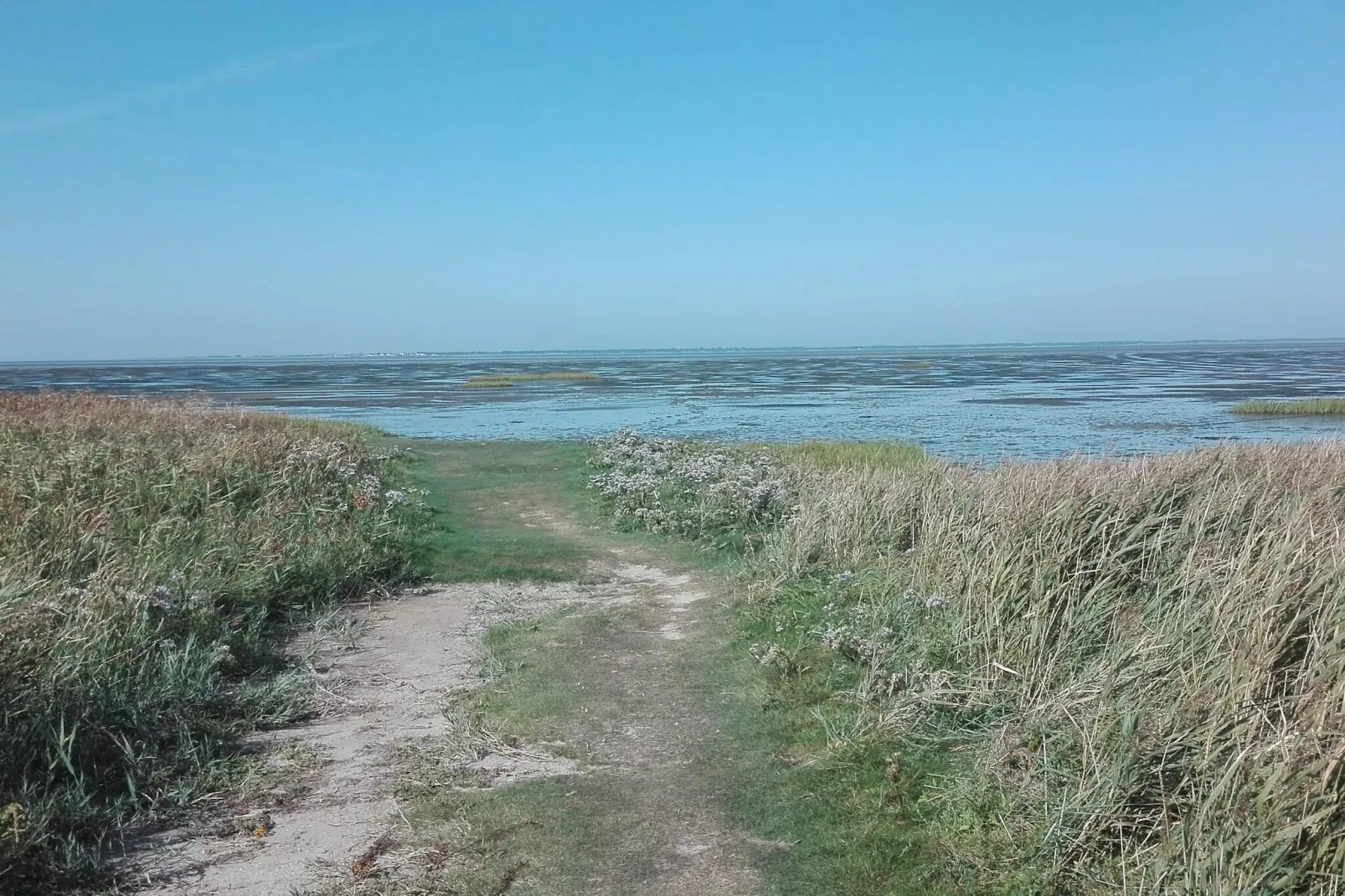 7 persoons vakantie huis in Bredebro-By Traum