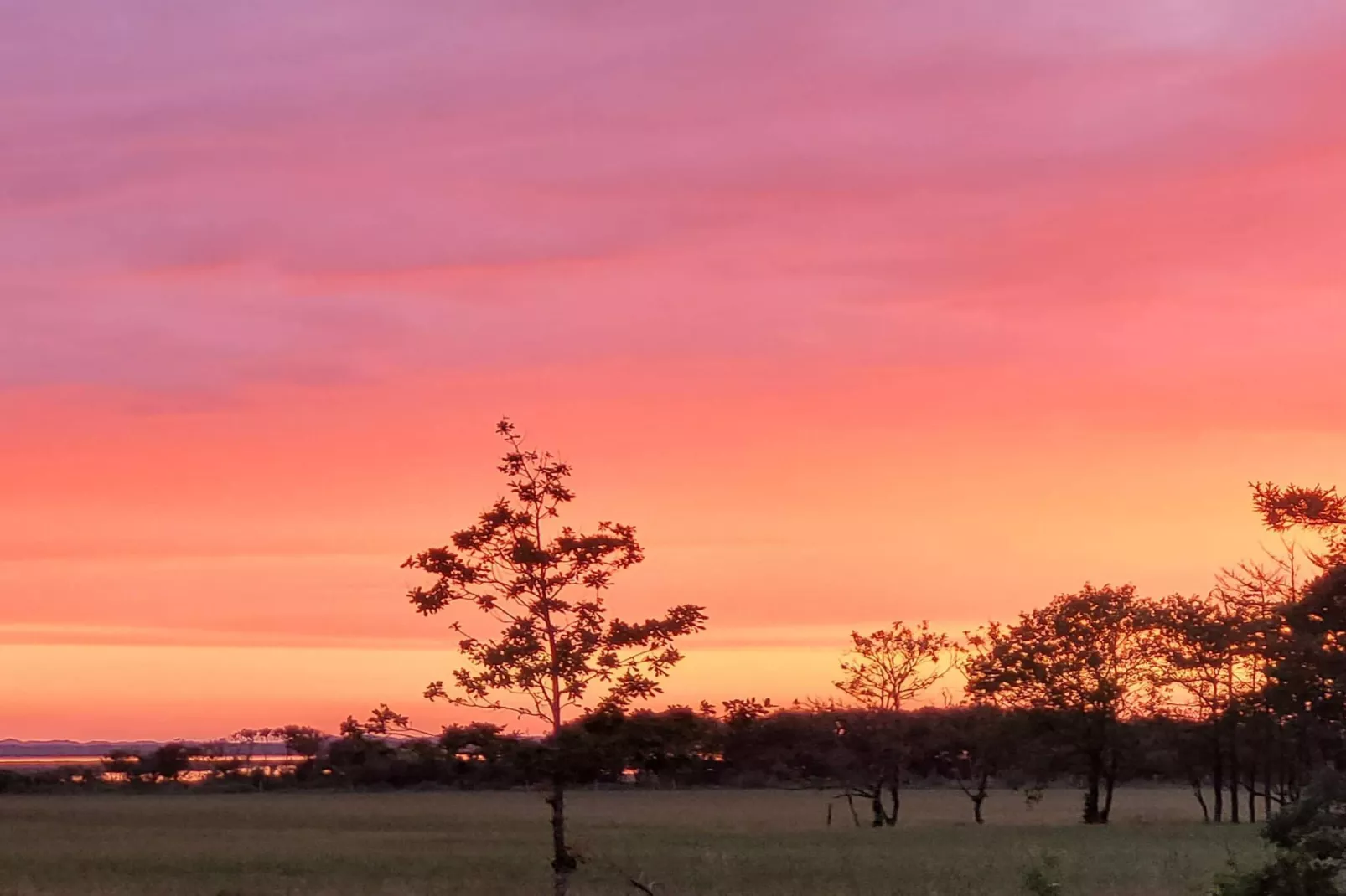 6 persoons vakantie huis in Oksbøl-Niet-getagd