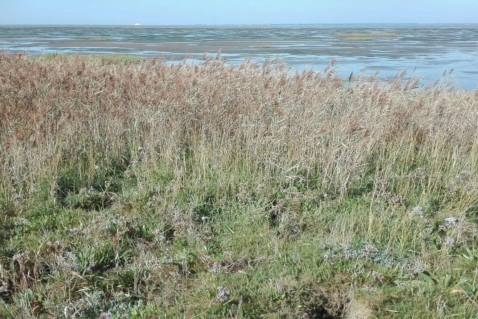 7 persoons vakantie huis in Bredebro-By Traum-Waterzicht