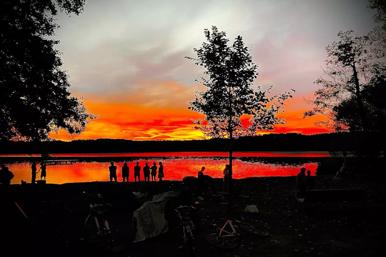 FH Wildgans Comfort mit Sauna & Kaminofen 81 qm 85