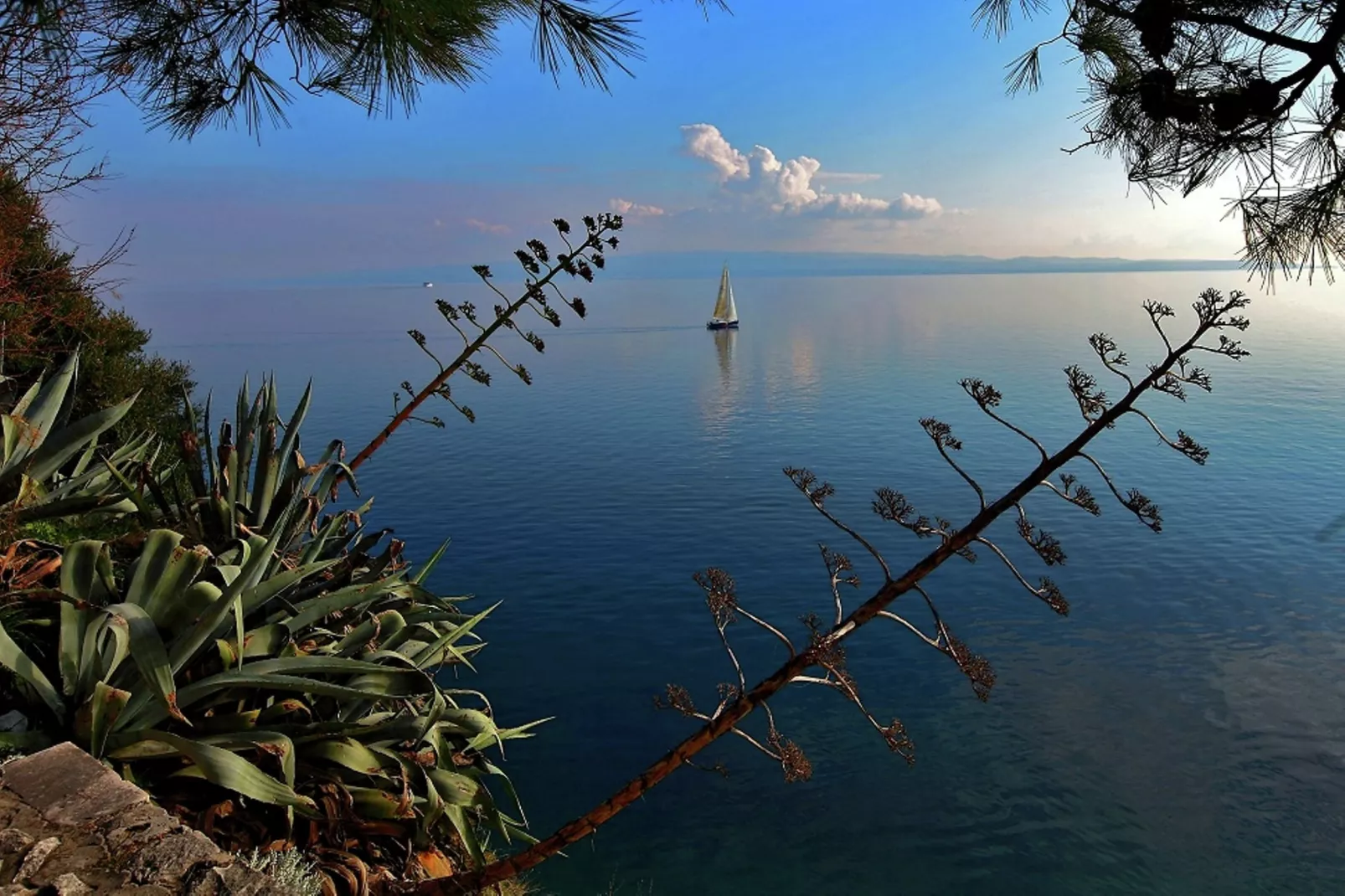 Delux two level garden apartment-Gebieden zomer 5km