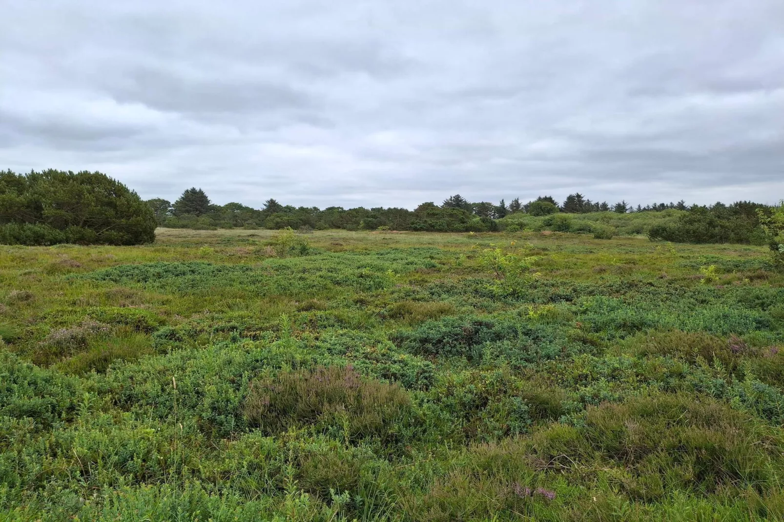 Rustig strandverblijf-By Traum