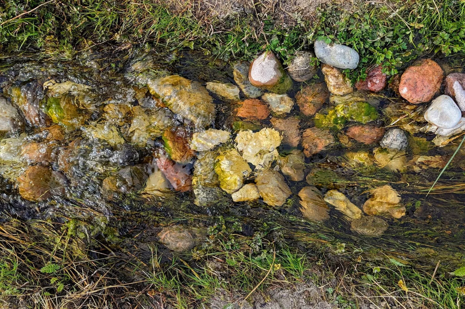 6 persoons vakantie huis in Eskebjerg-By Traum