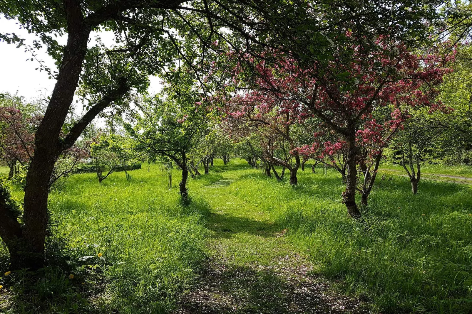 6 persoons vakantie huis in Sæby-By Traum